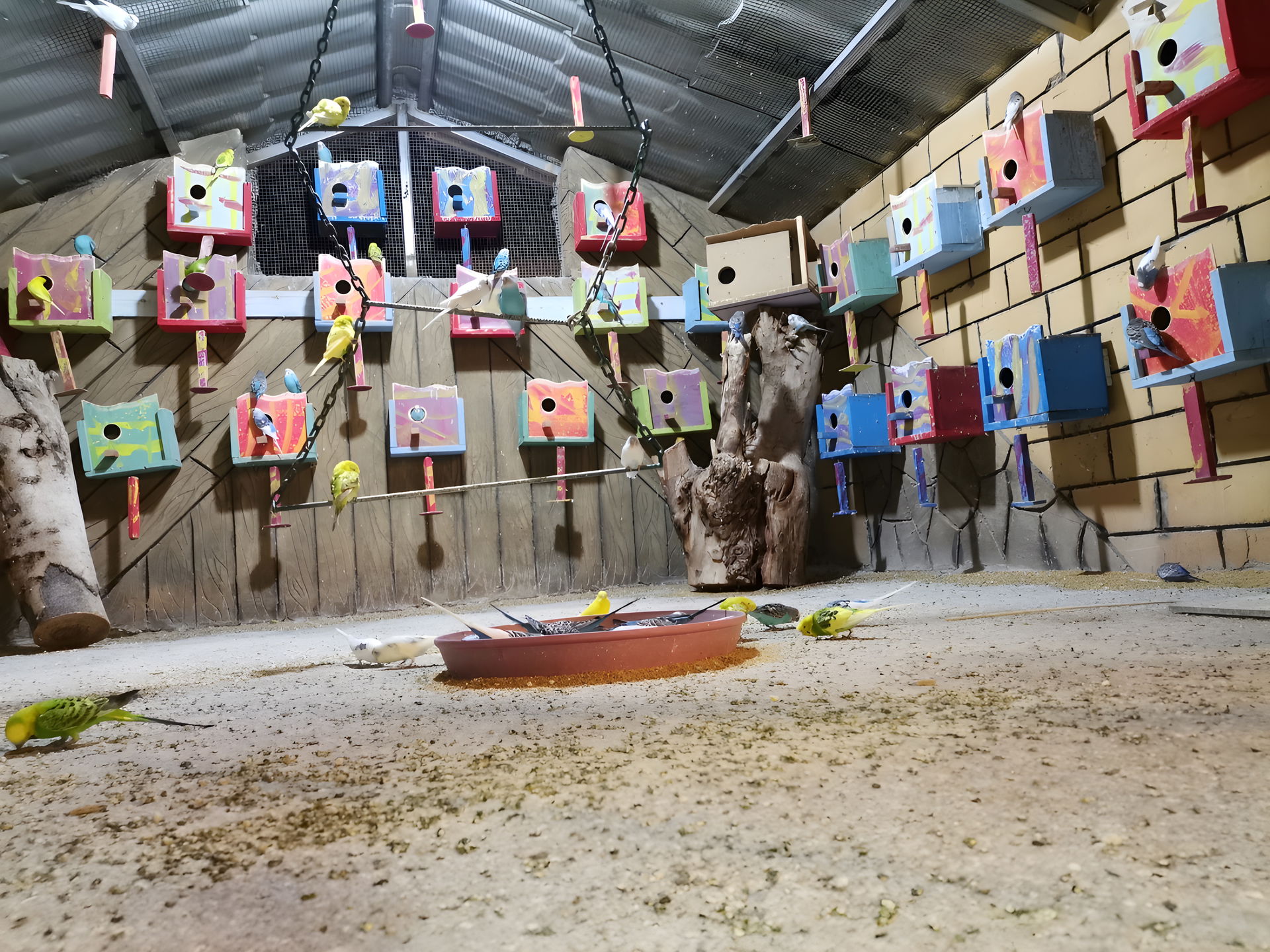 Duhok Zoo, 23 Sep 2022