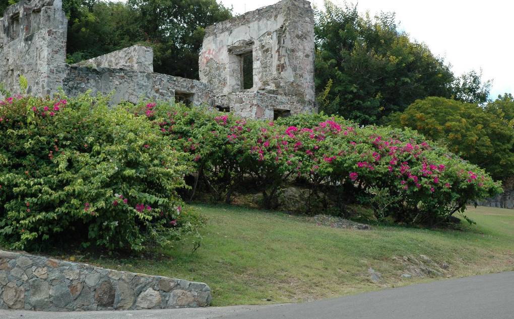 Ruines Saint John, U.S. Virgin Islands