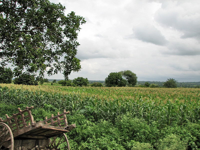 Somewhere midway Pune and Aurangabad.