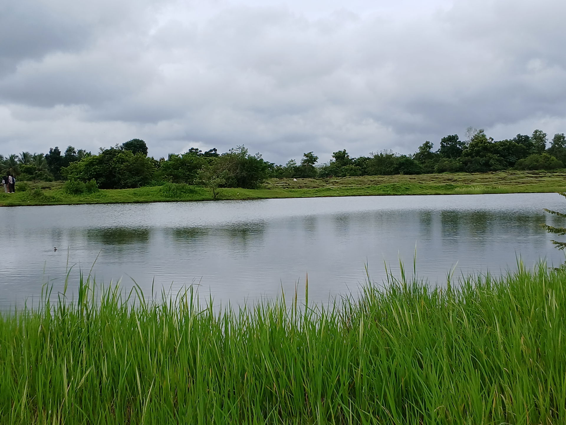 Thavalakkulam, Kannur