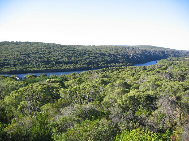 This is a picture of Margaret River (the river not the town) in…