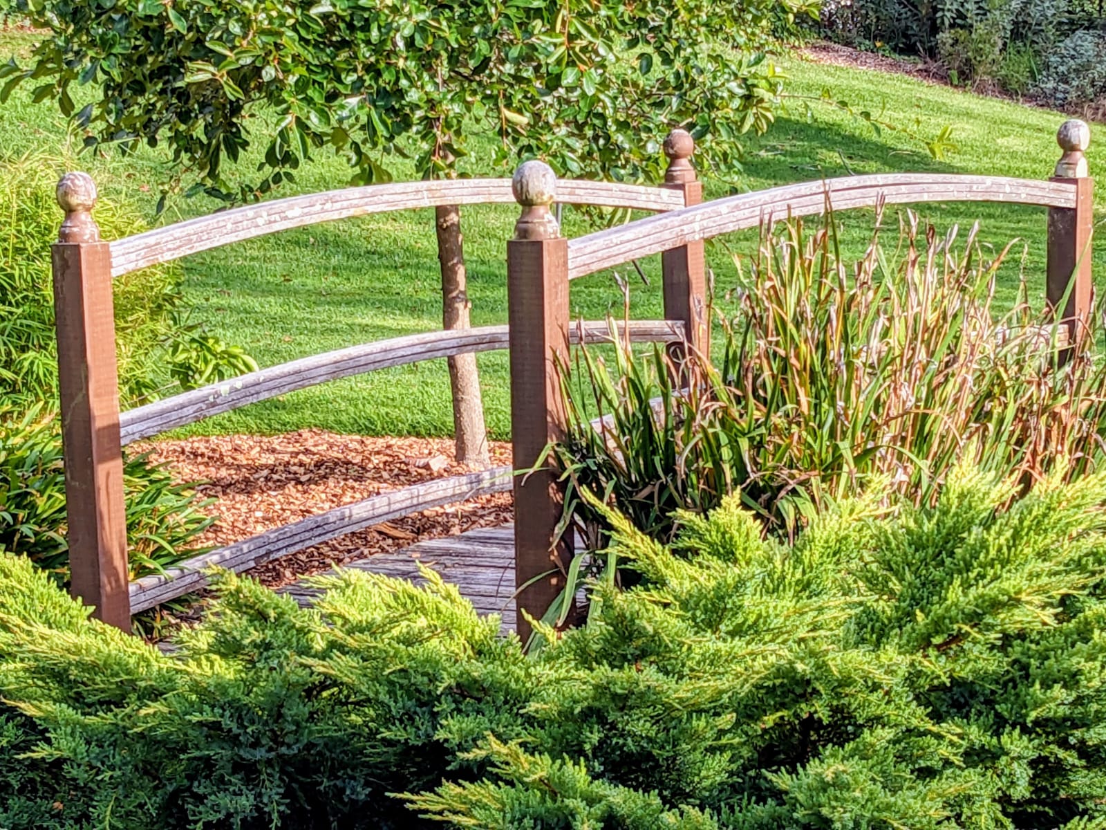 Garden in Bowral, Australia