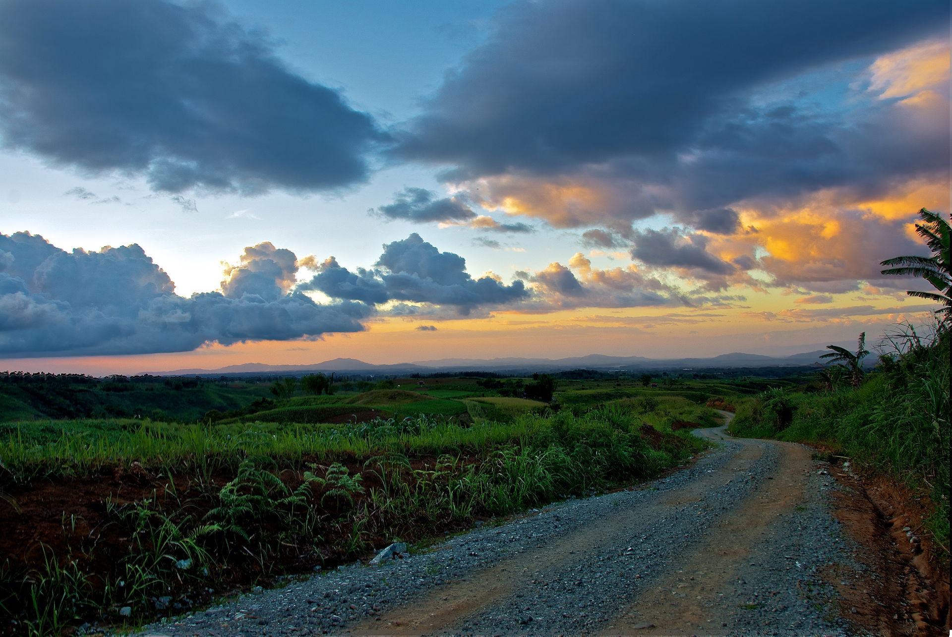 Bukidnon Manolo Fortich