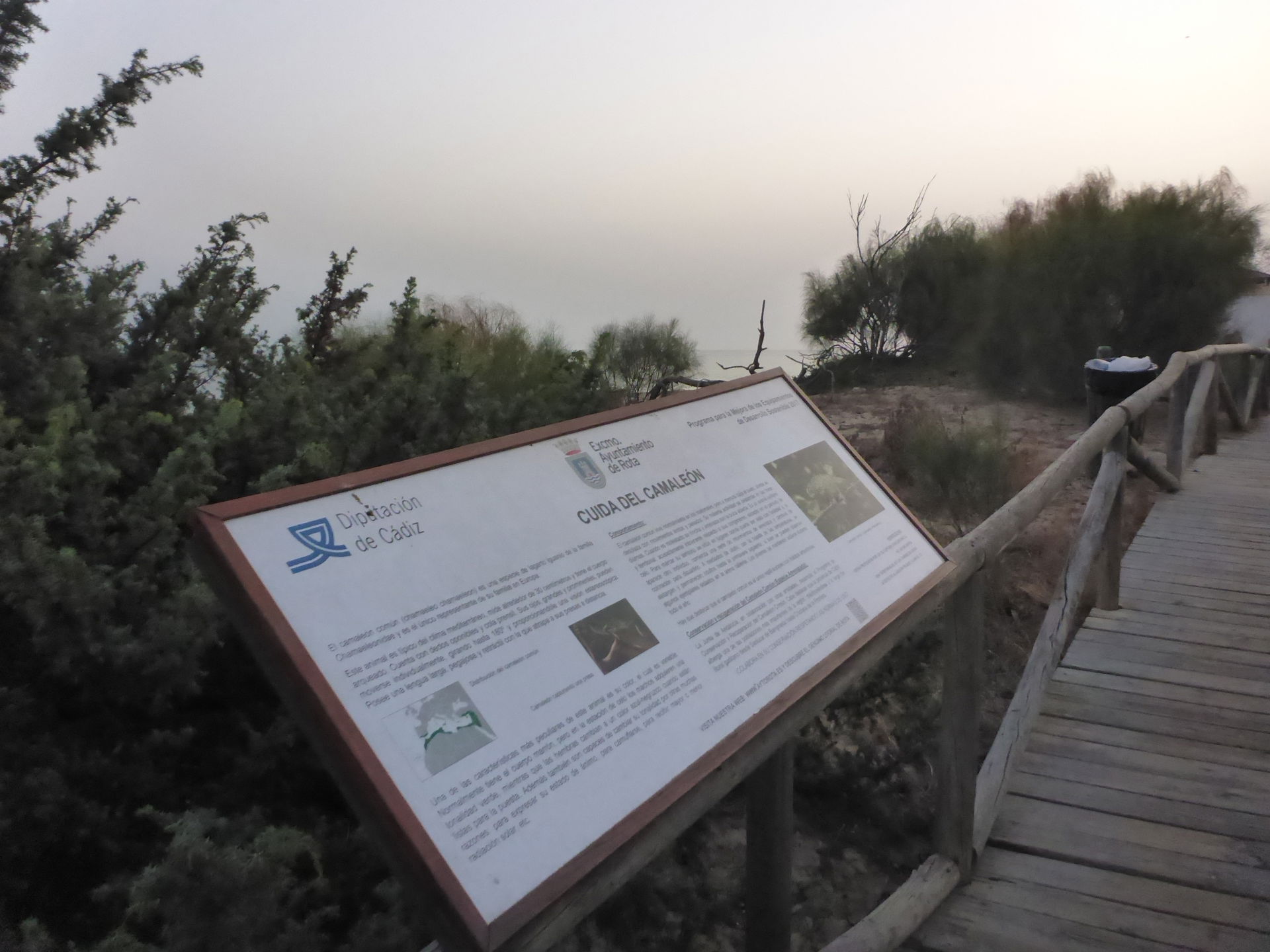 Rota (Andalucía, España)