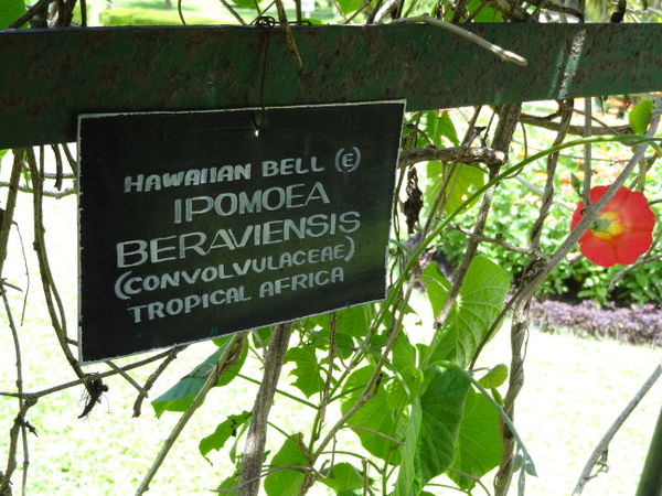 Peradeniya