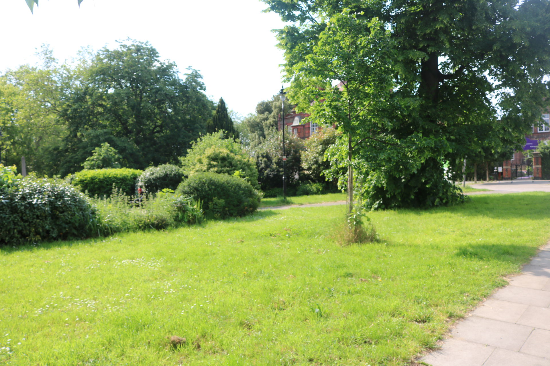 West Green, Tottenham