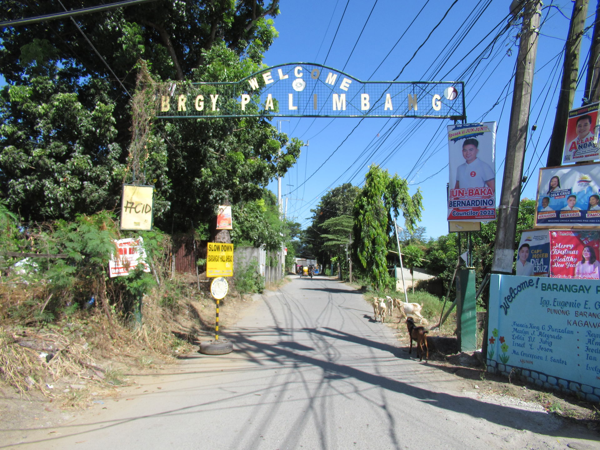 Hyundai 330 LC-95 and Girders in the Philippines for the Retrof…