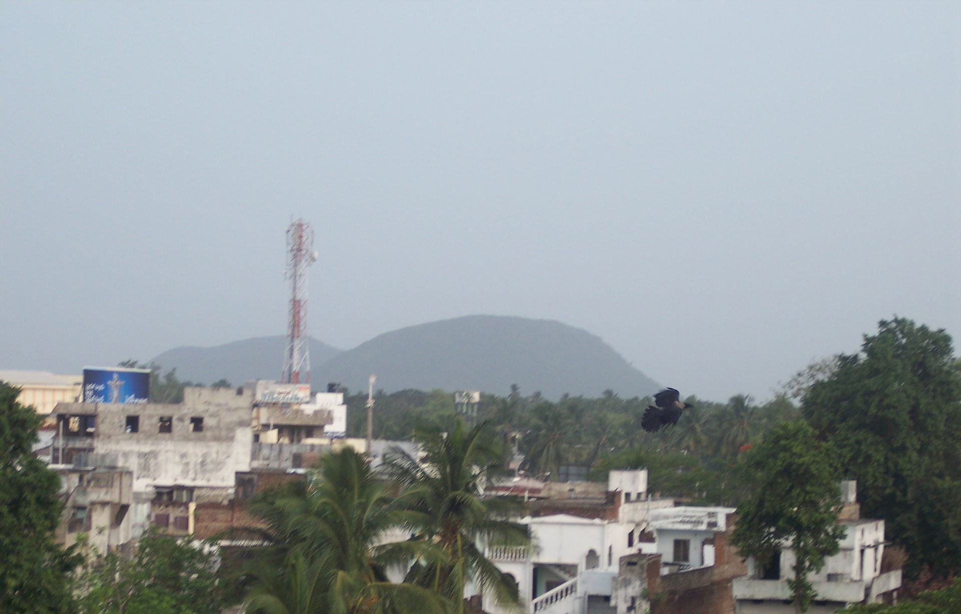 Skyline of Anakapalle taken from atop an apartment complex.