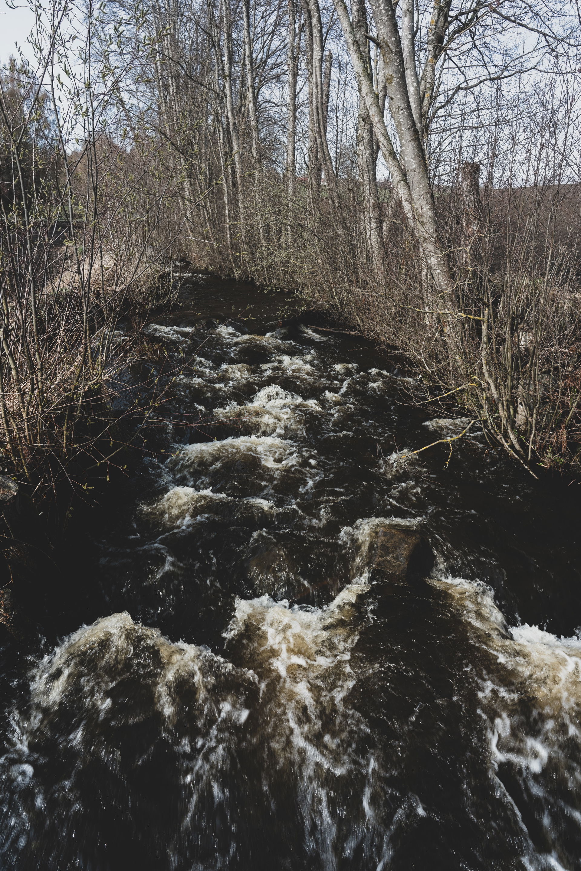 Riselva River at Toten, Norway, in spring.
