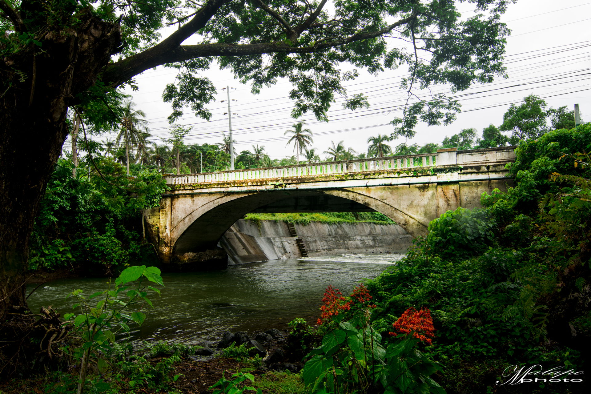 This area is found at Barangay Santiago, Iriga City Camarines S…