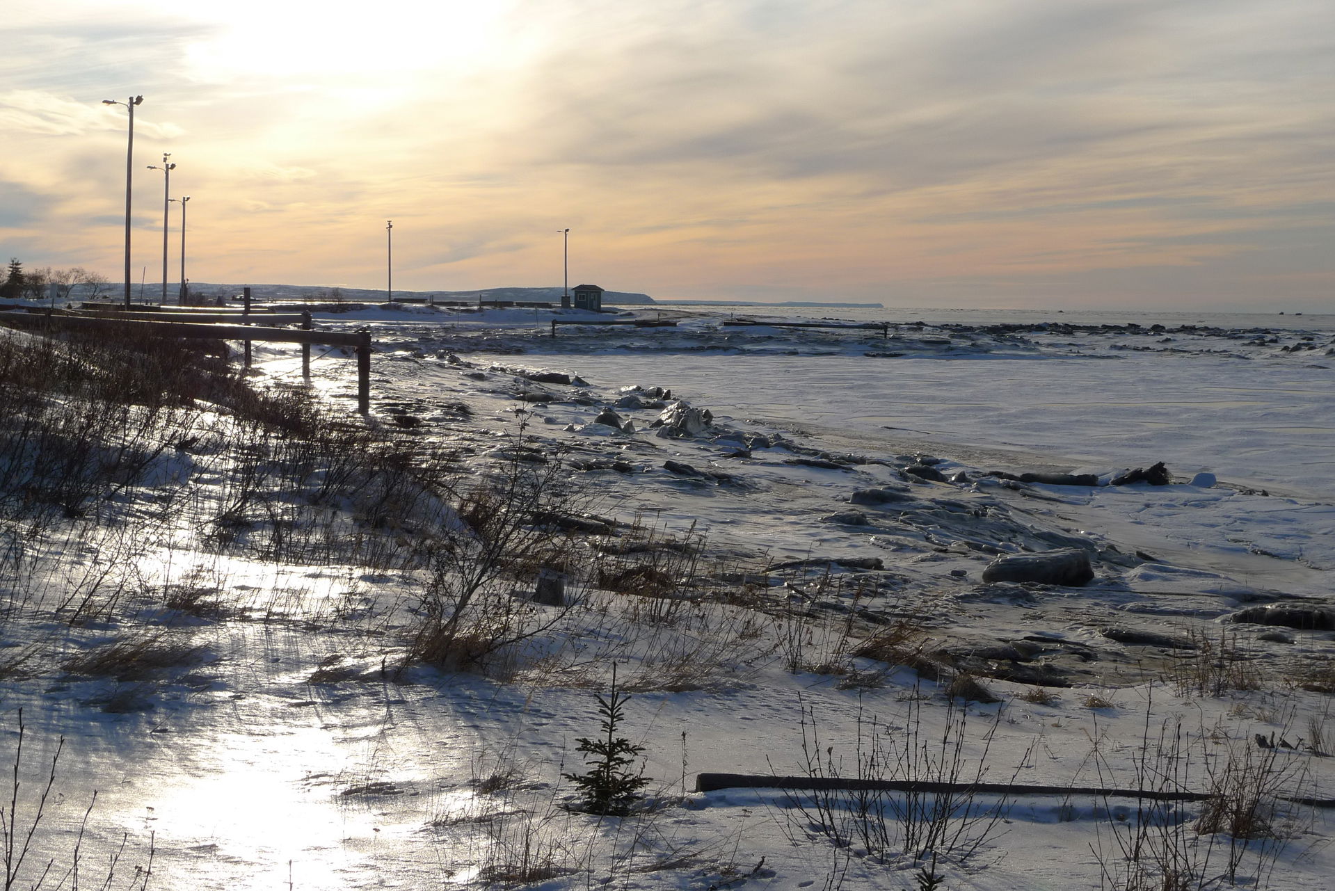 Three days in Dillingham this week