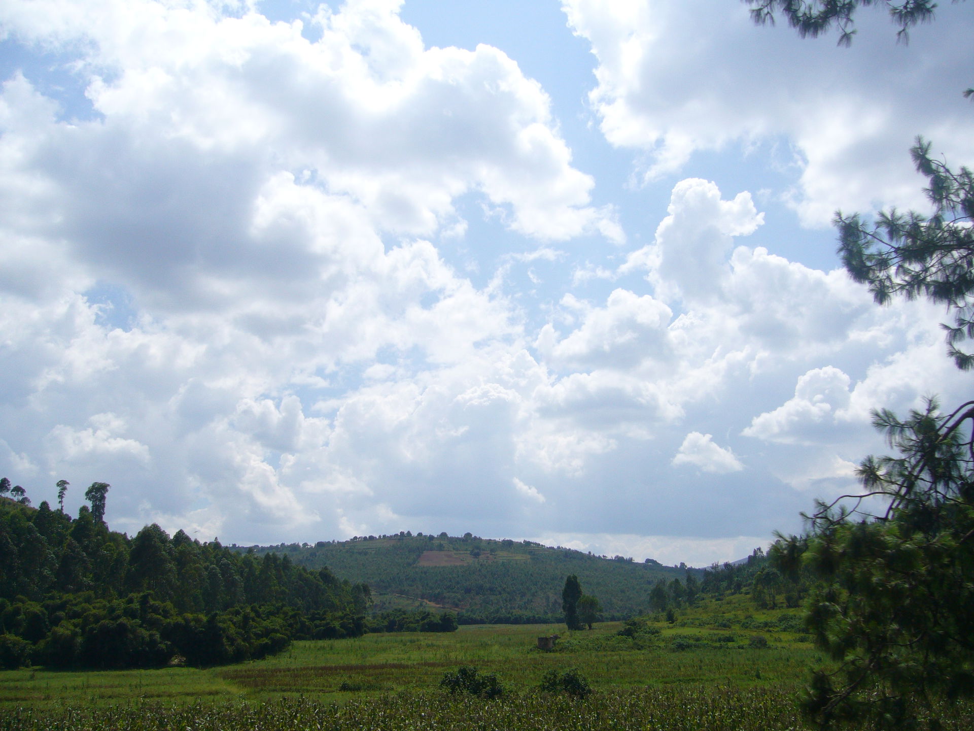 This is an image with the theme "Climate & Weather in Afric…
