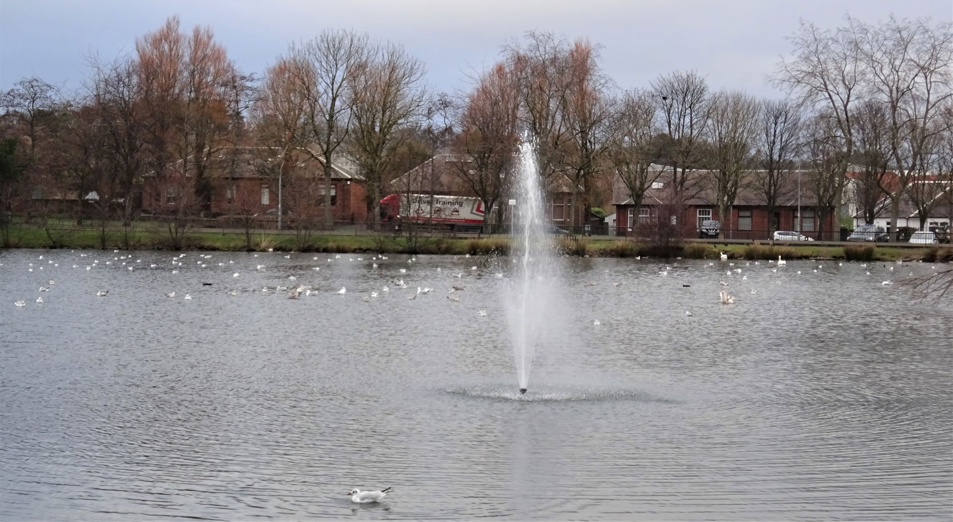 The Kay Park Loch, Kilmarnock, East Ayrshire. Note the wildfowl.