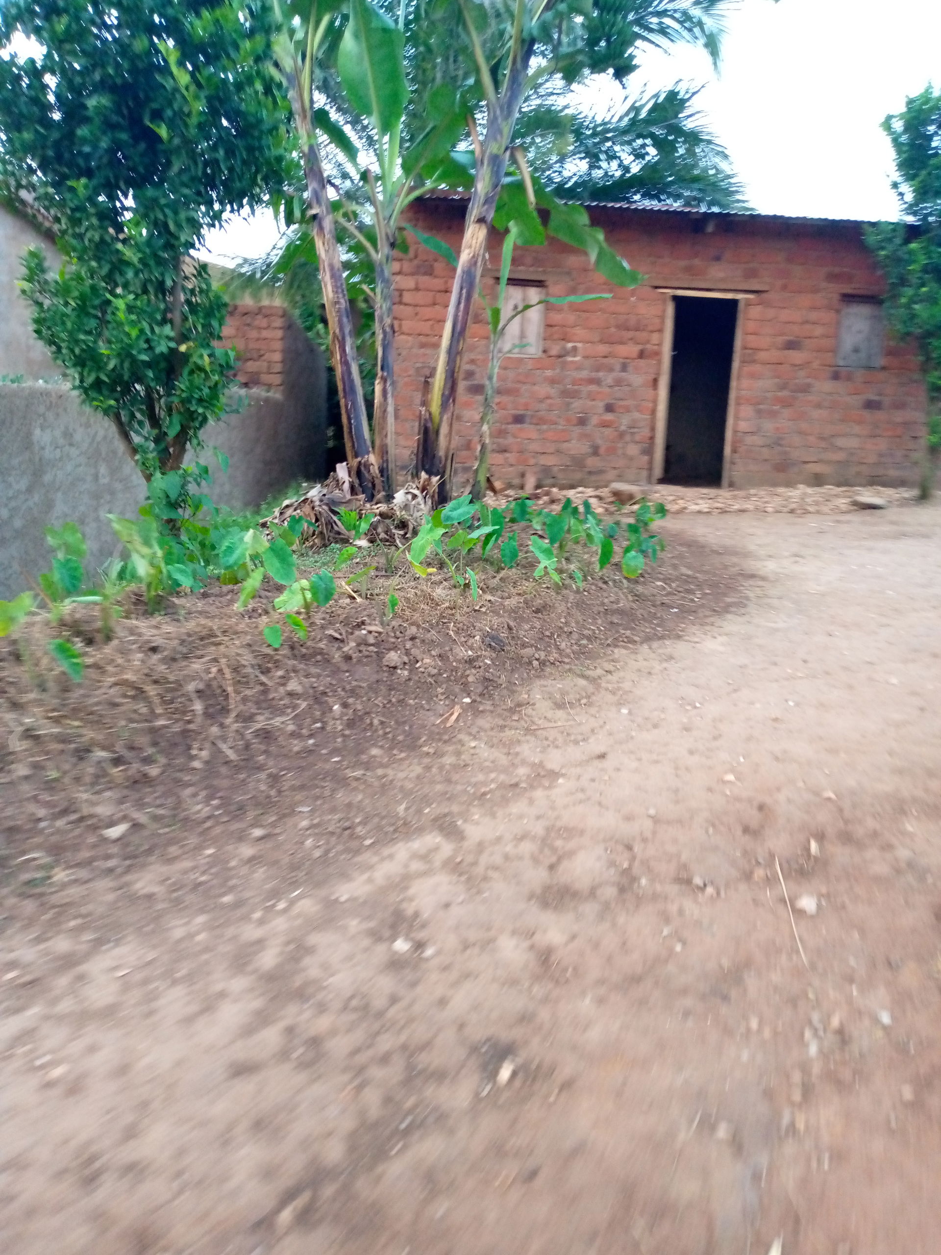 This is an image with the theme "Home + Habitat in Africa" from: