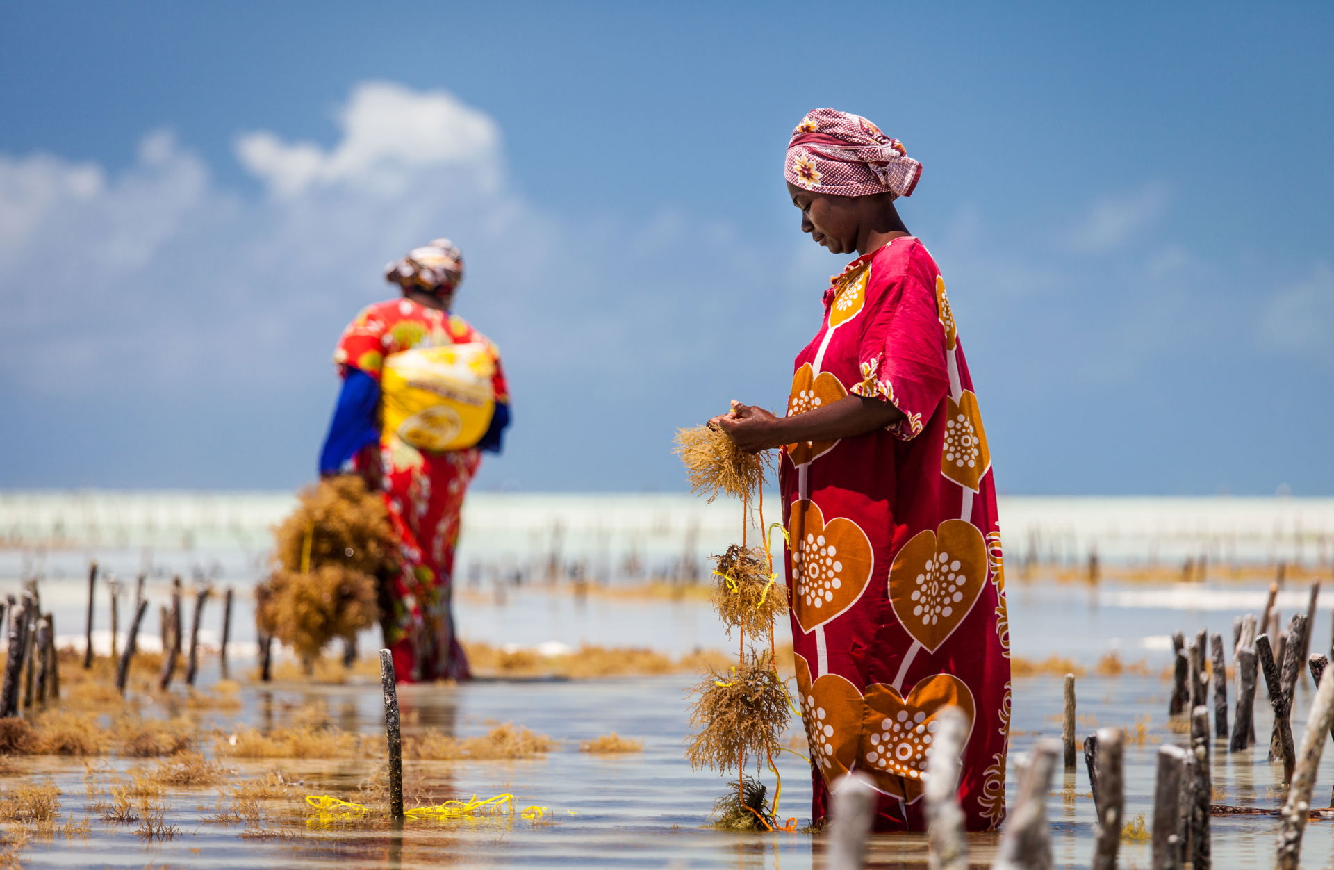 This is an image of "African people at work" from