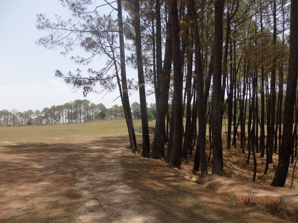 Natural Ranikhet Medows