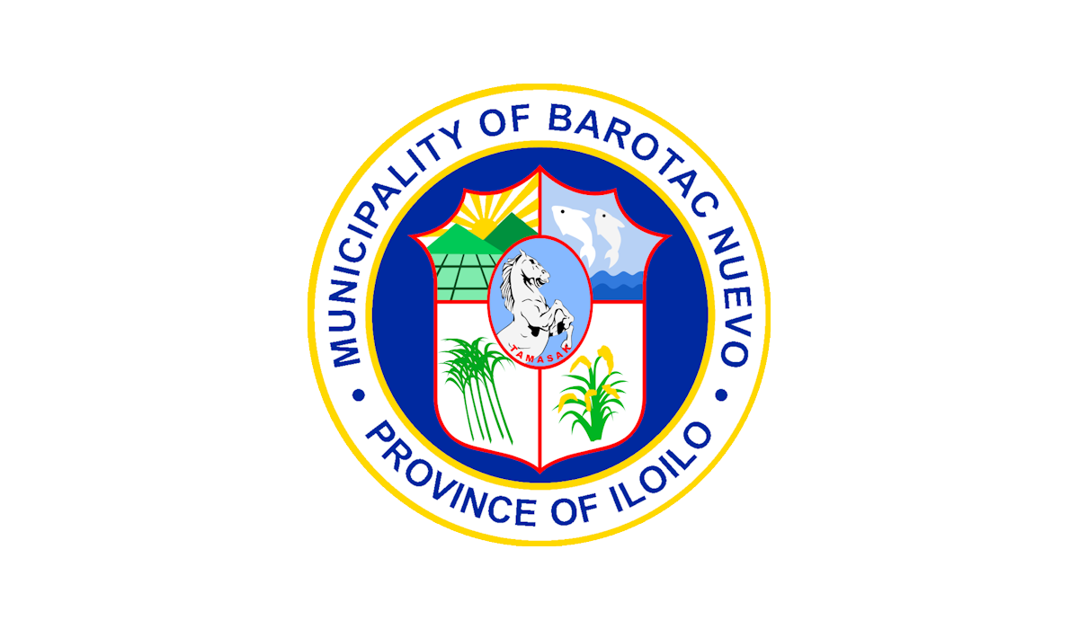 Flag of Barotac Nuevo, Iloilo