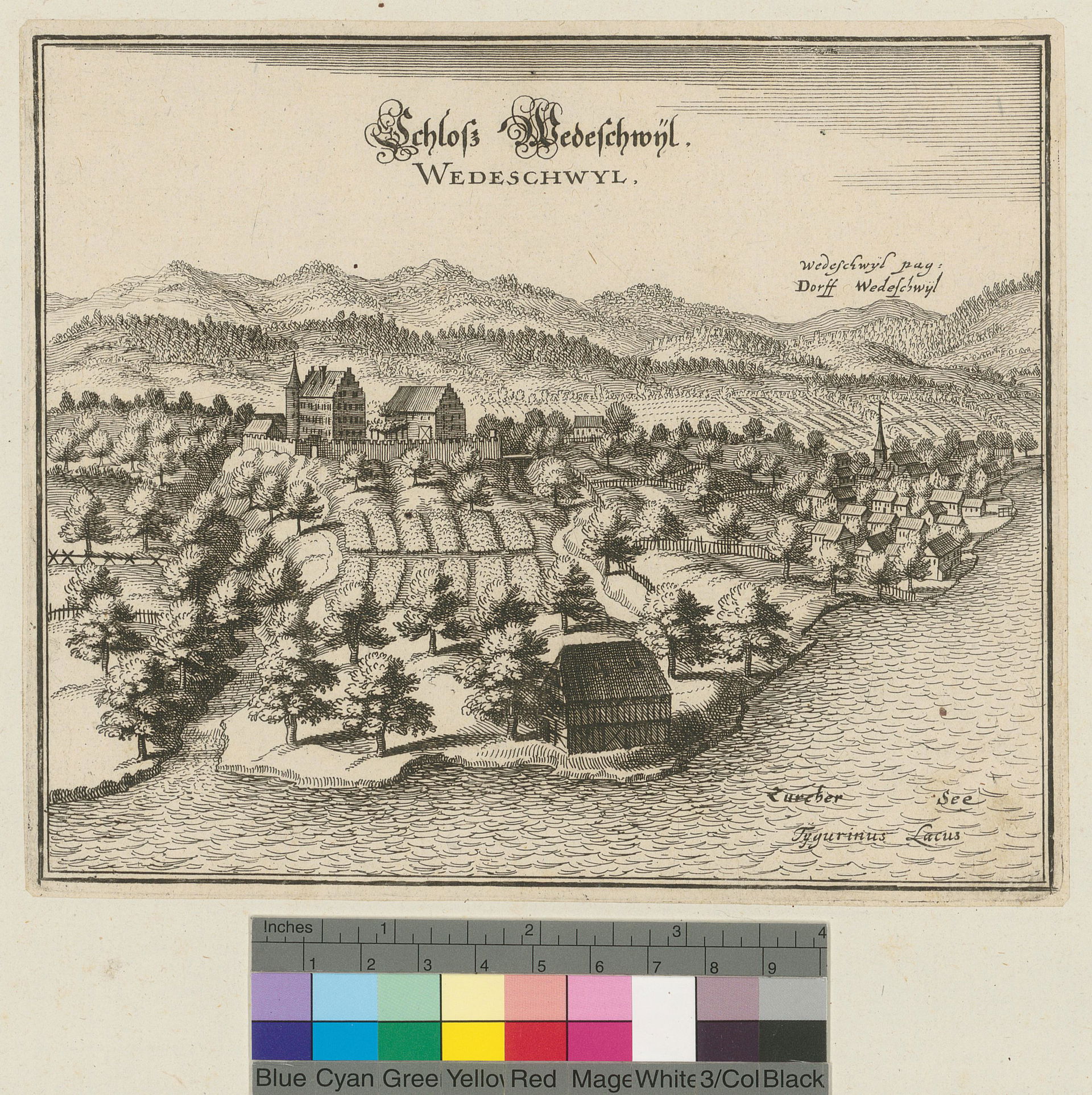 Wädenswil view 3