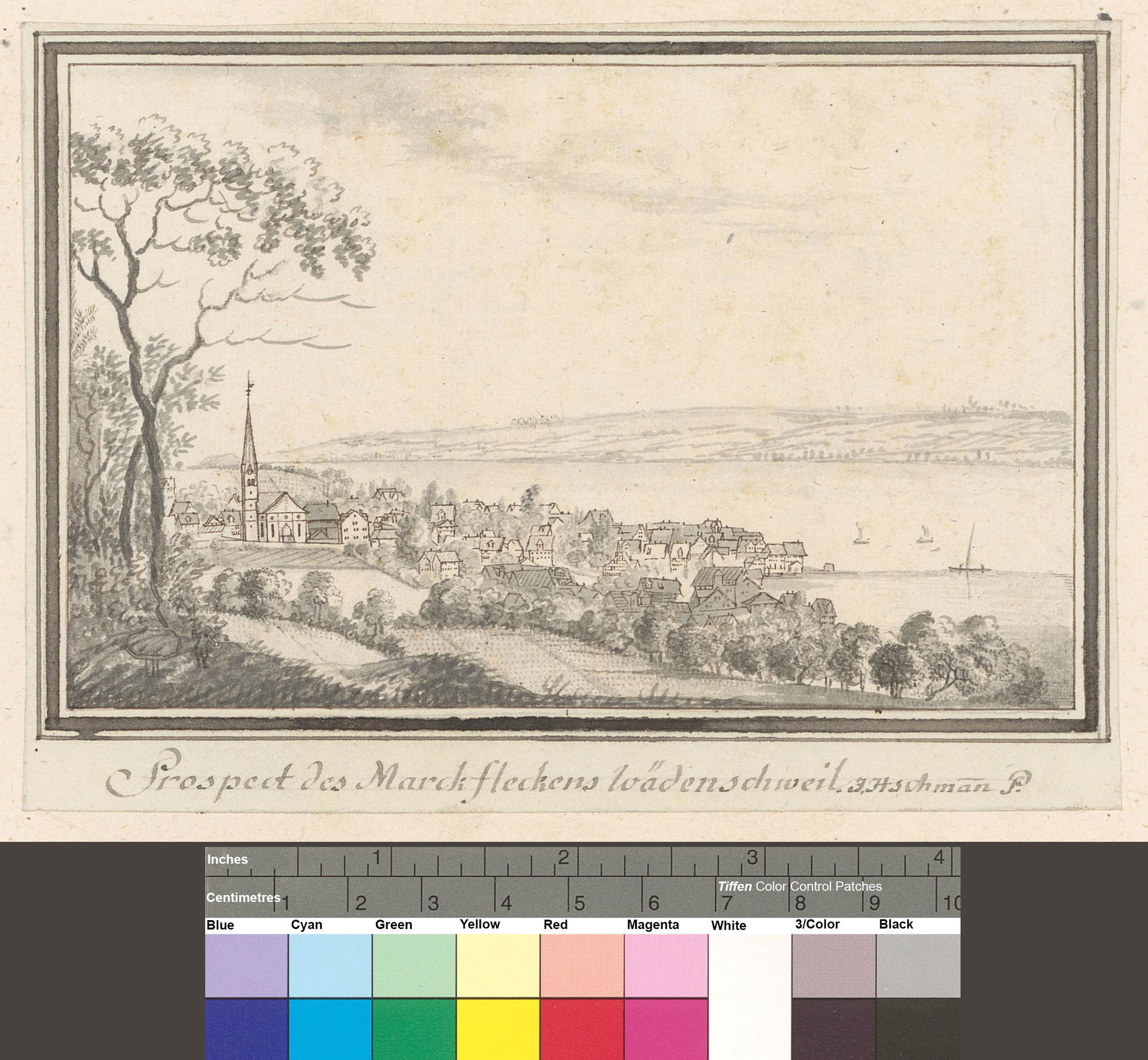 Wädenswil view 2