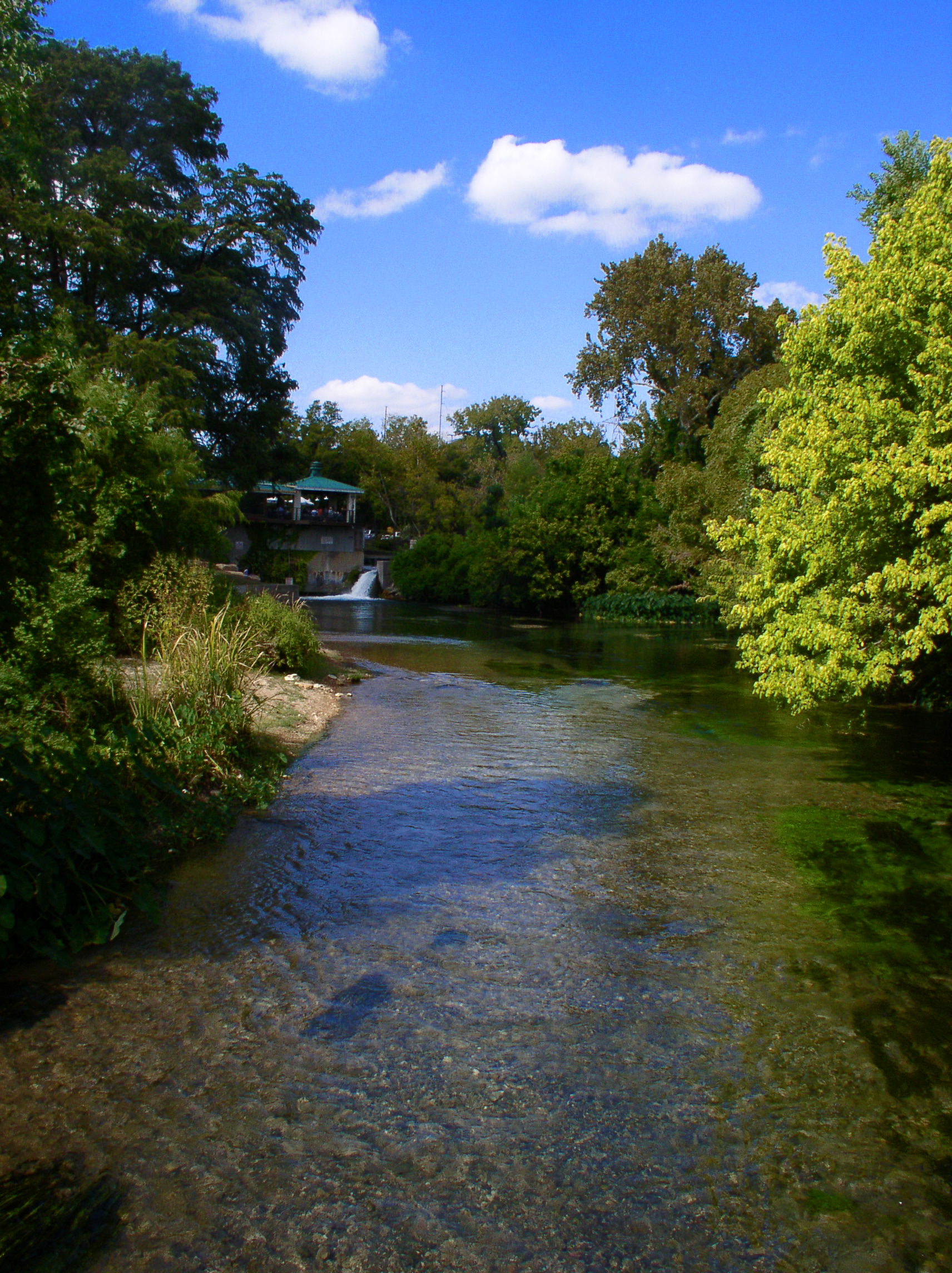 Downstream from the headwaters of the San Marcos River in San M…