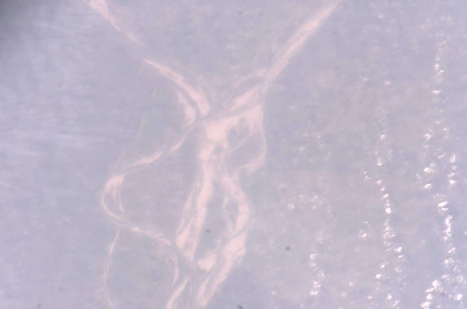 View of India taken during ISS Expedition 12.