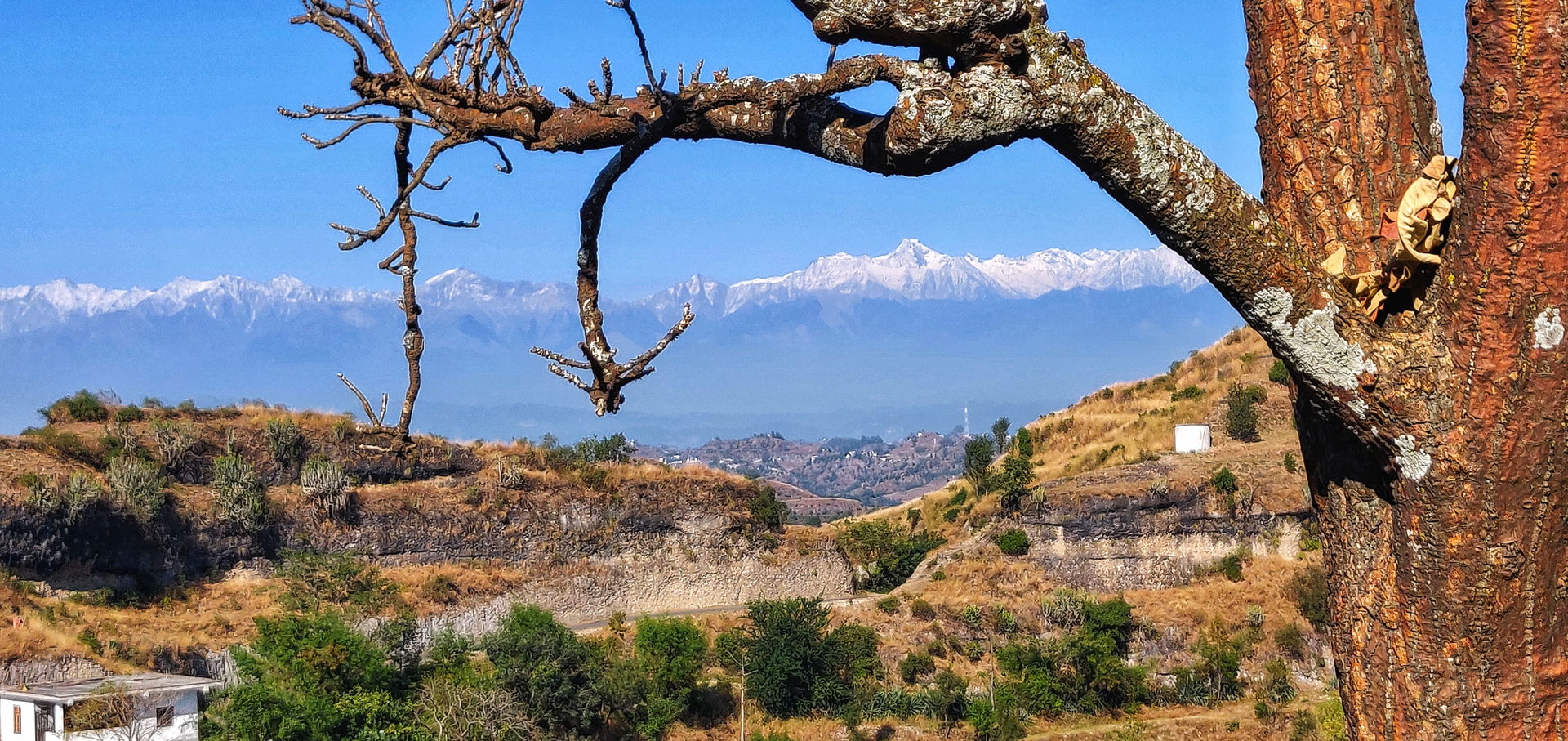 This photograph is taken at the top of a hill of Village Rangar…