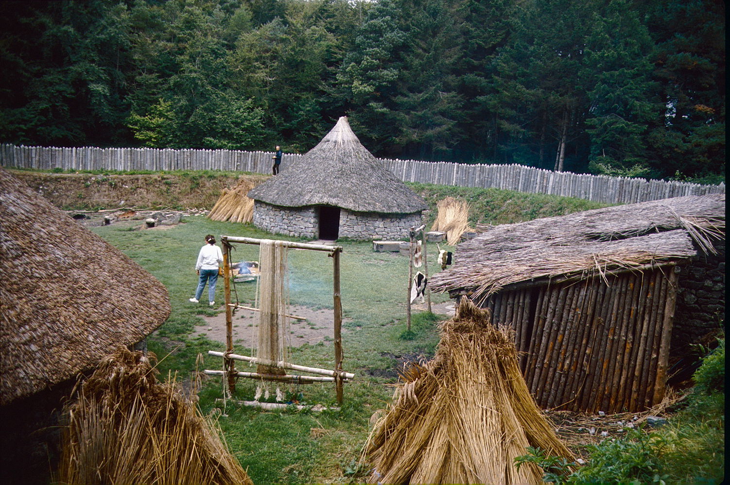 Craggaunowen ( Ireland ). Reconstruction of a Celtic ringfort.