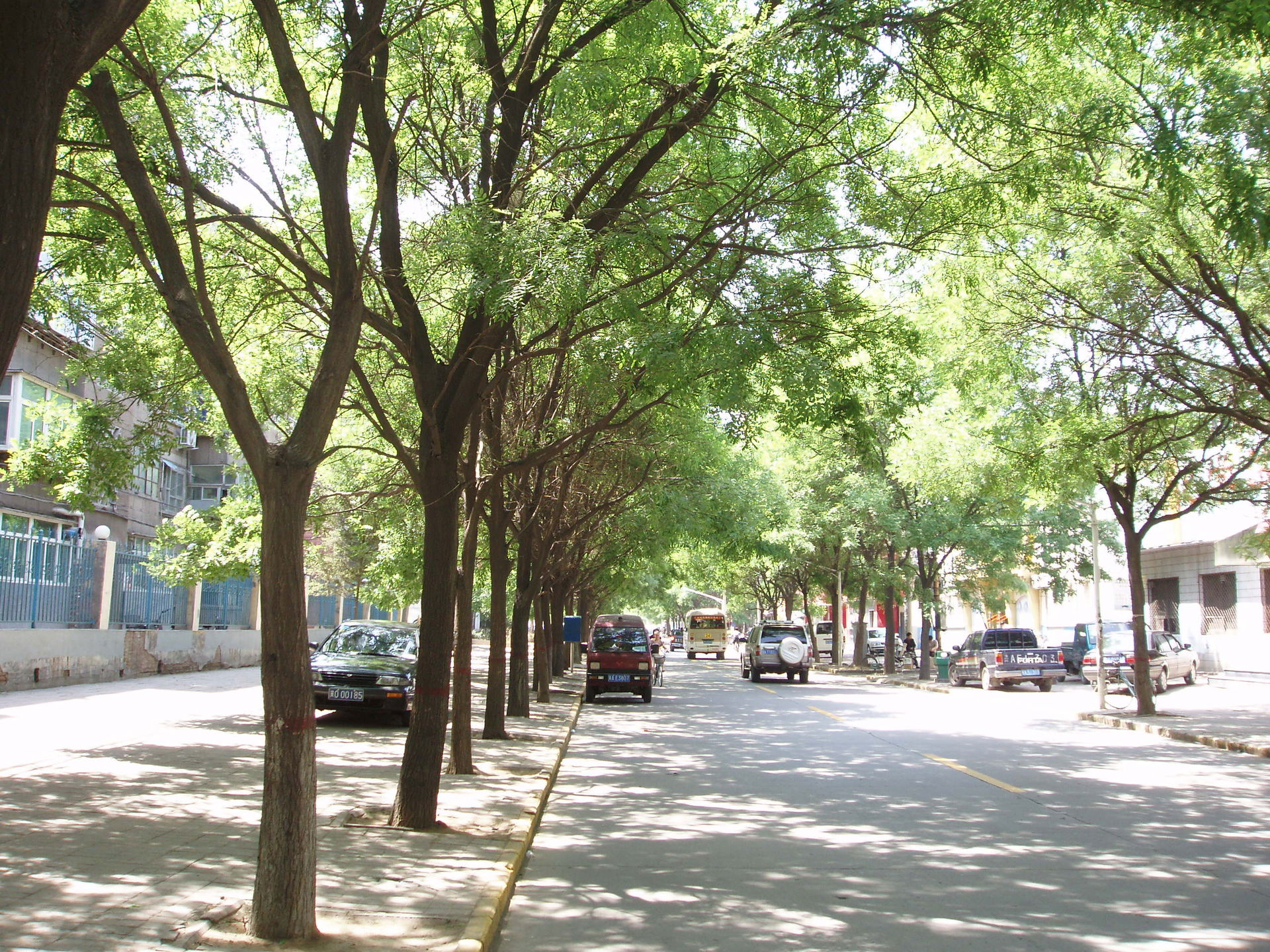 Shijiazhuang view 2
