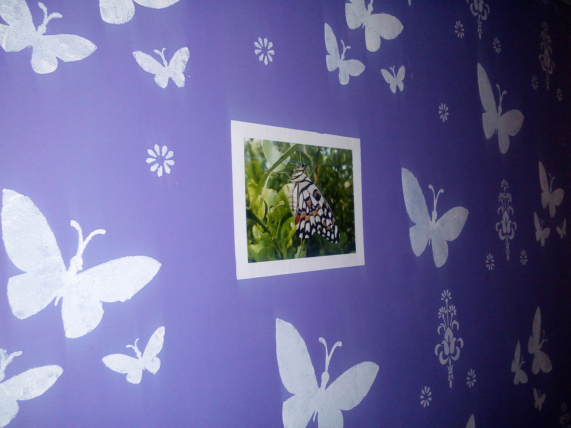 Painting with photograph