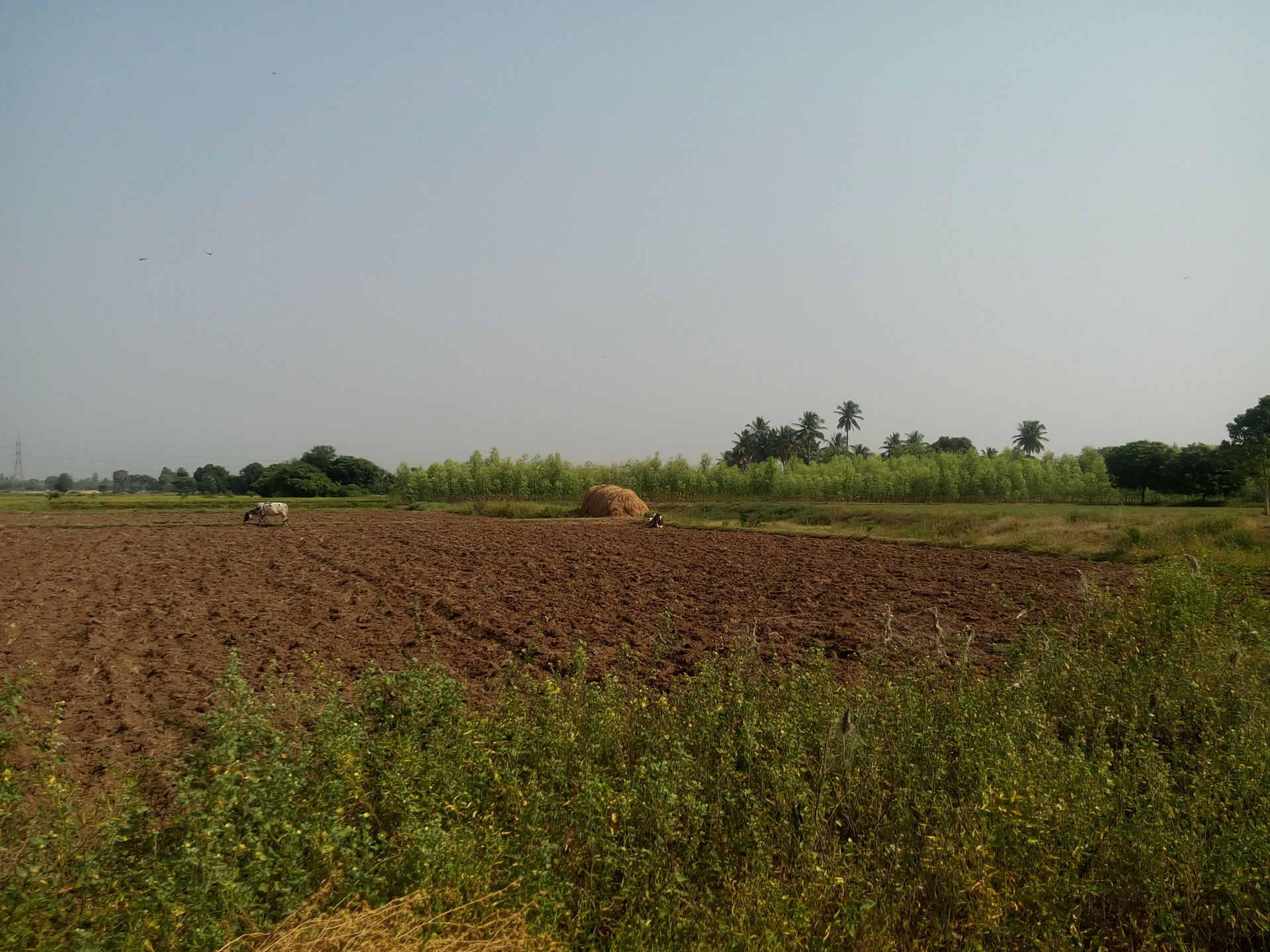 Gudiyatham