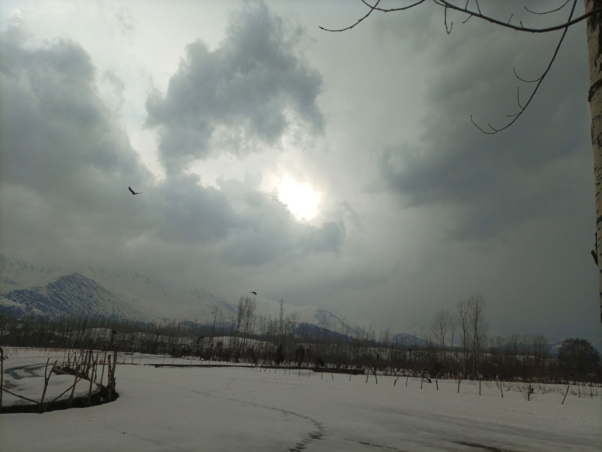 Sun, snow and February in Dooru Shahabad, Kashmir