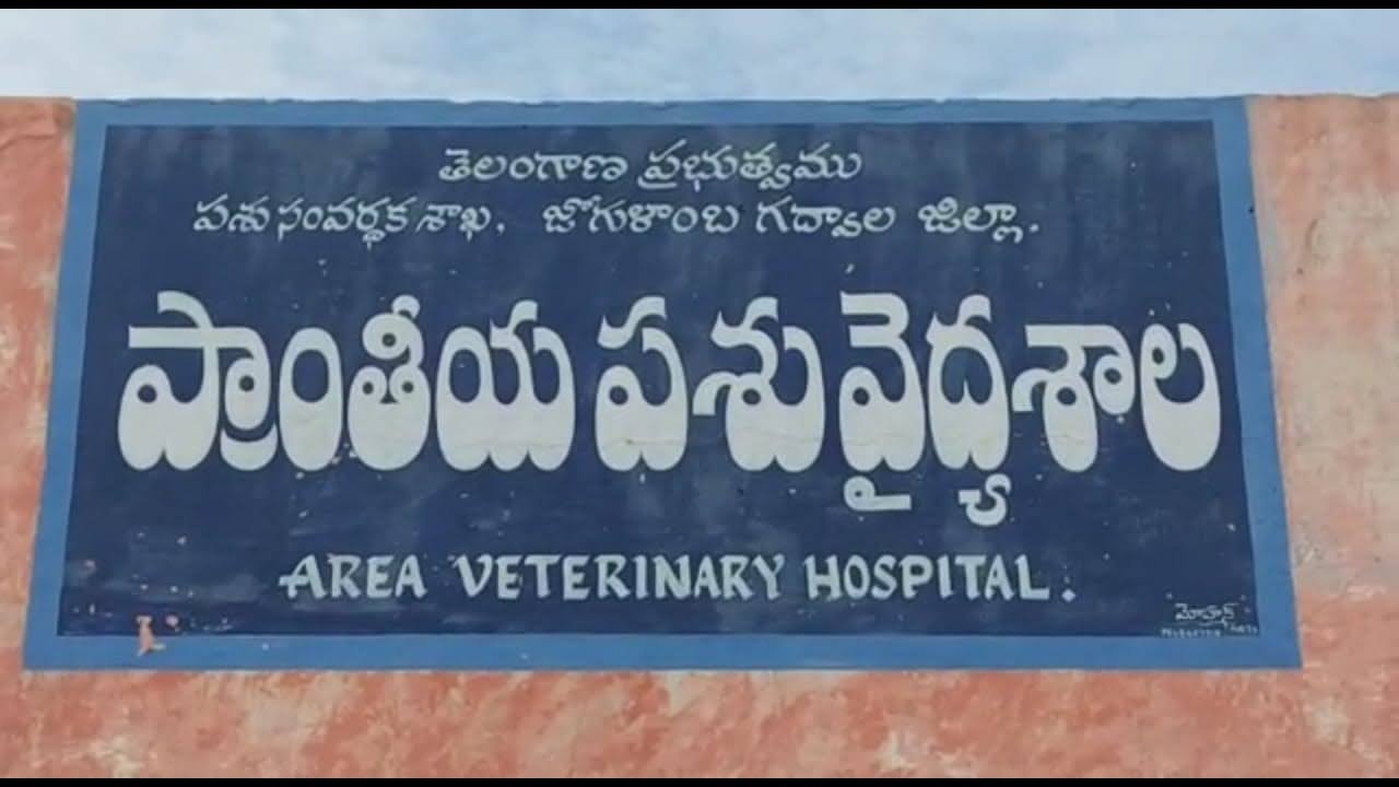 Veternary hospital gadwal