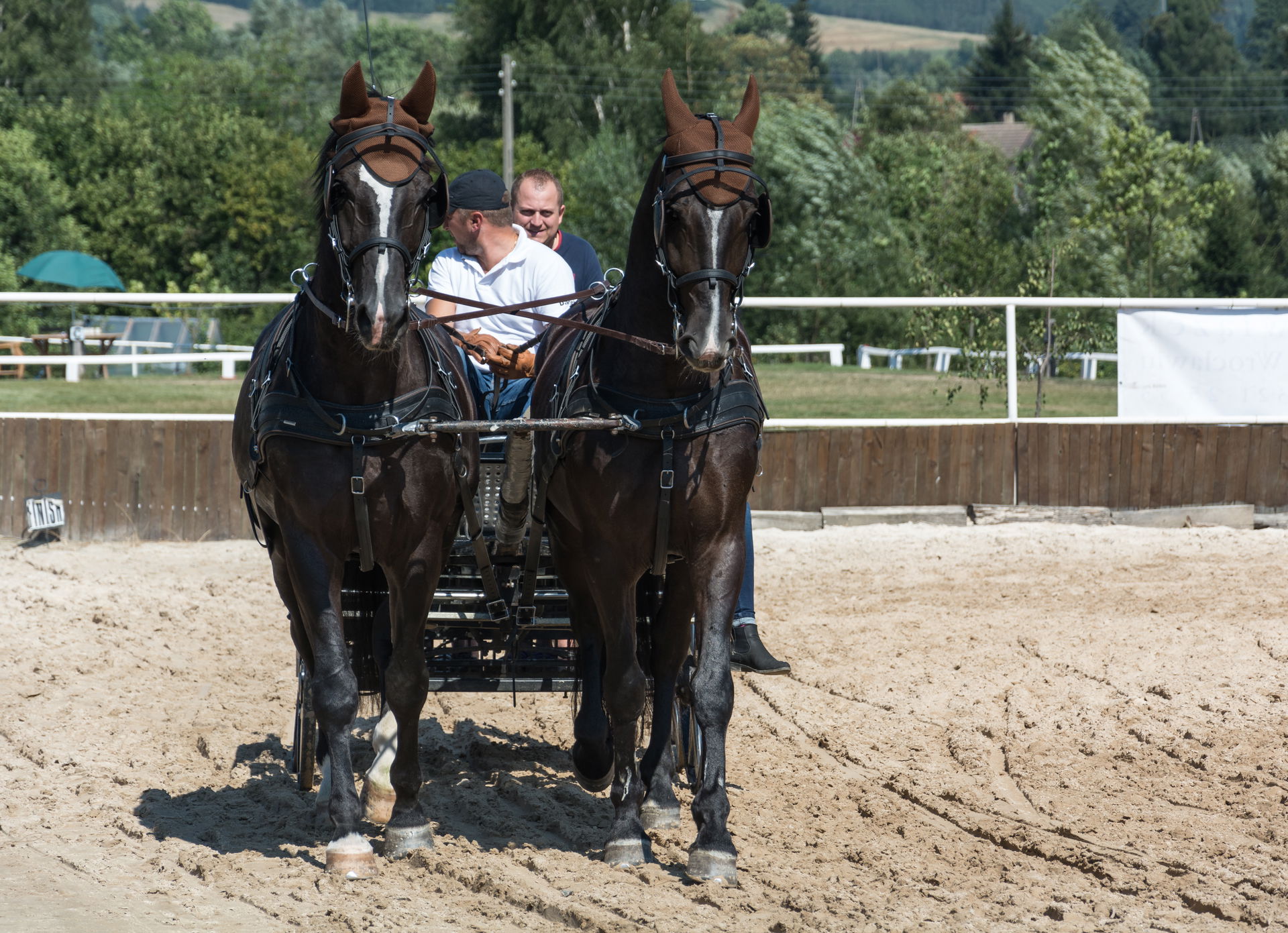 Horse stud farm in Świdnik