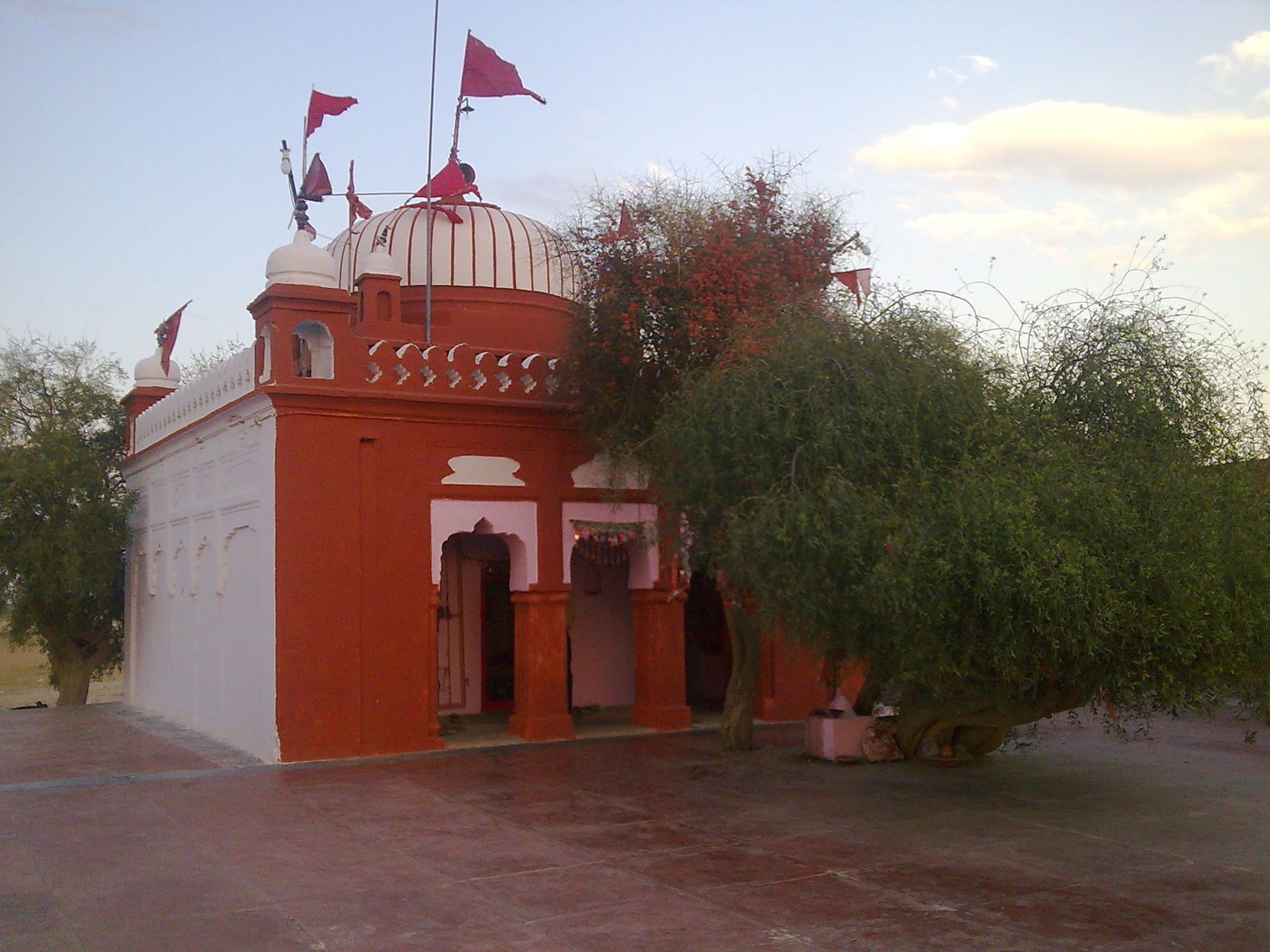 bhadrakali temple nohar