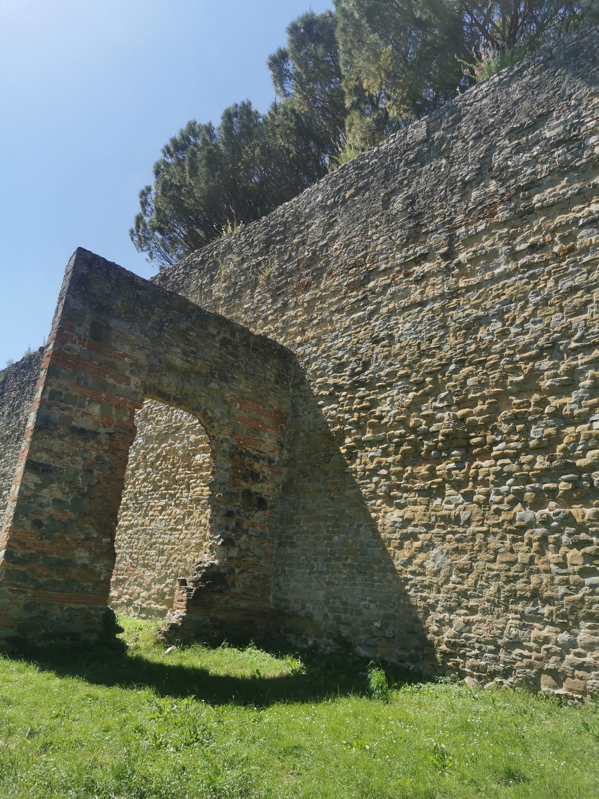 Arezzo