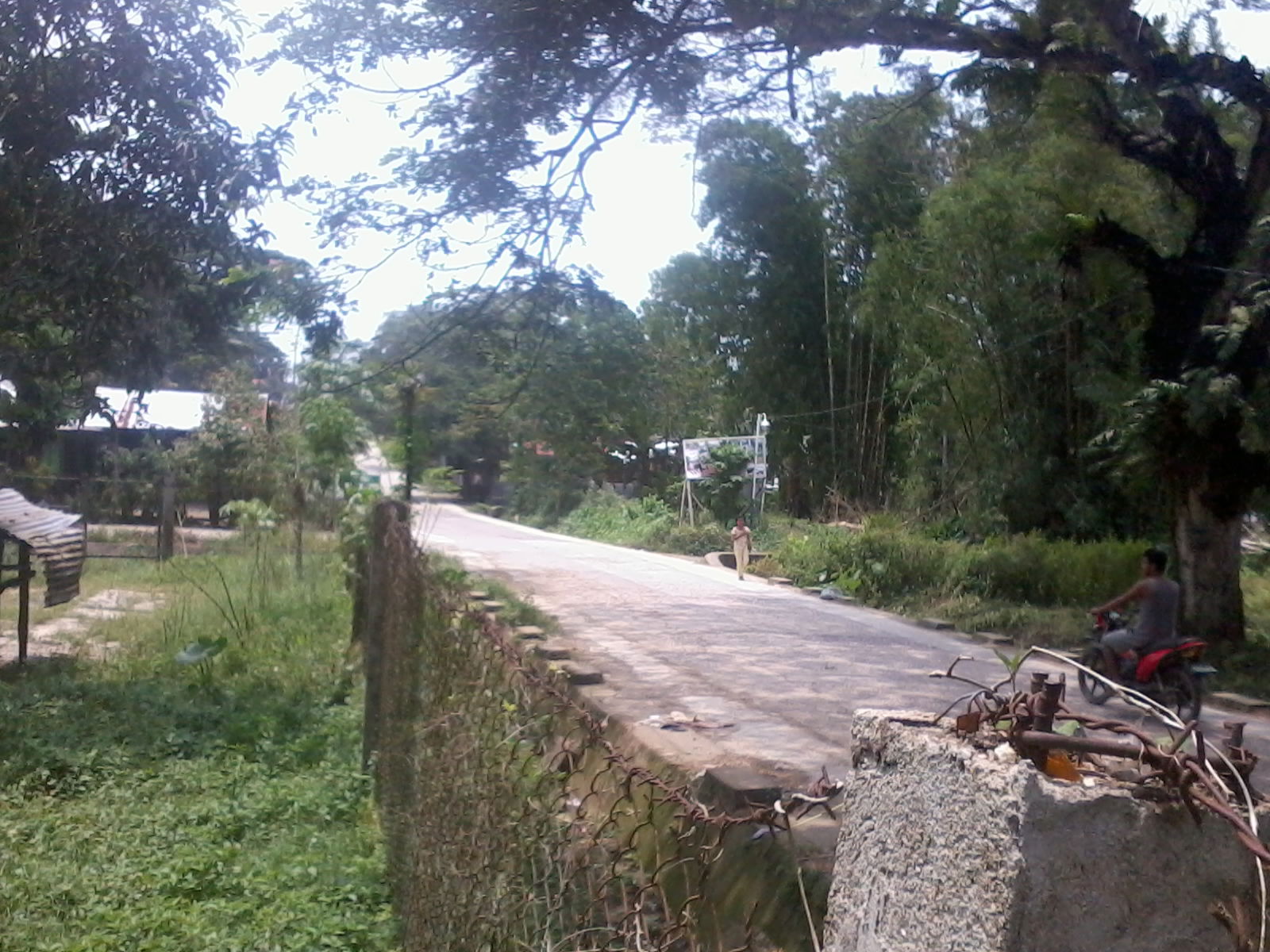 Road to San Antonio