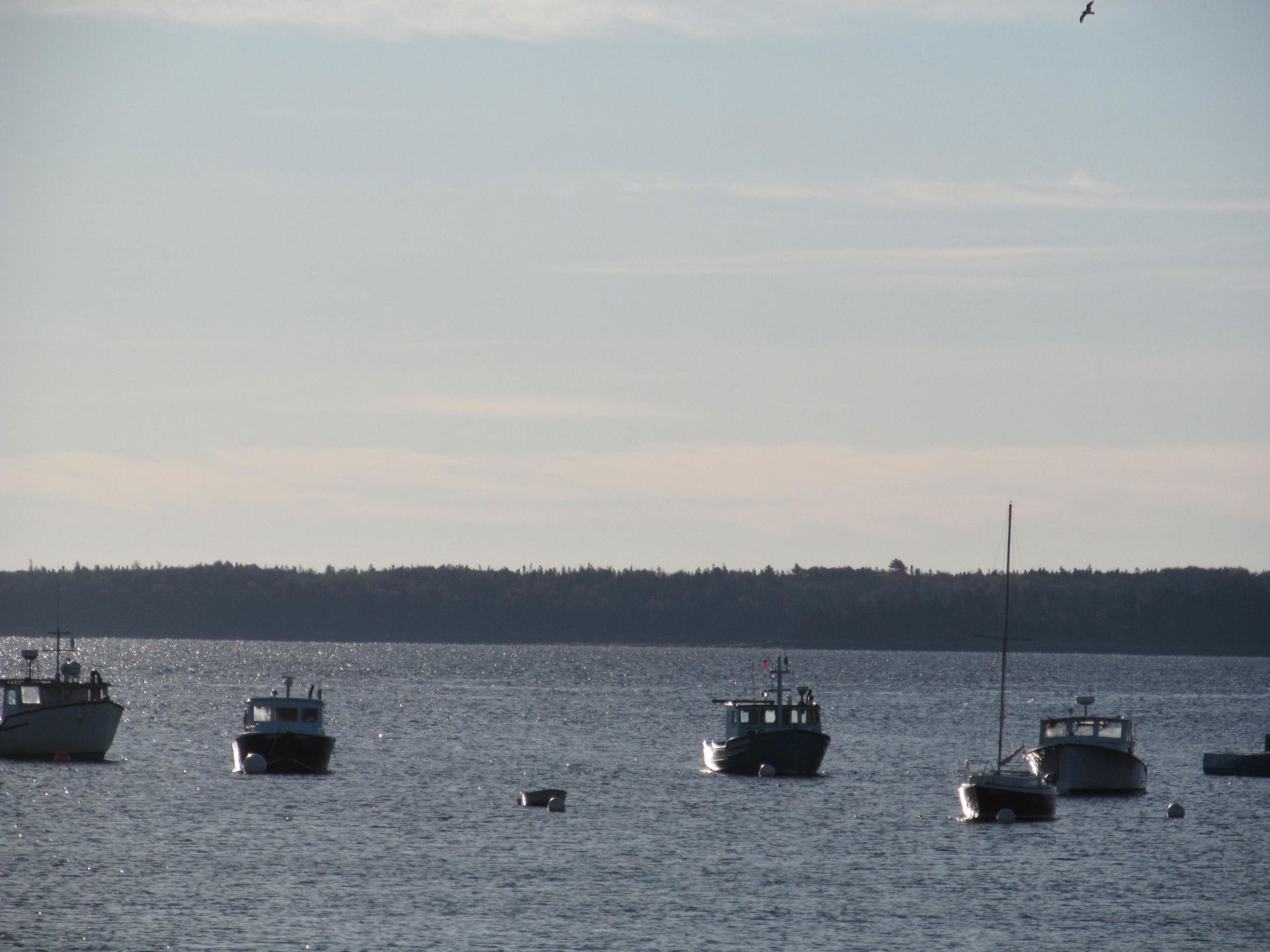Lincolnville, Maine
