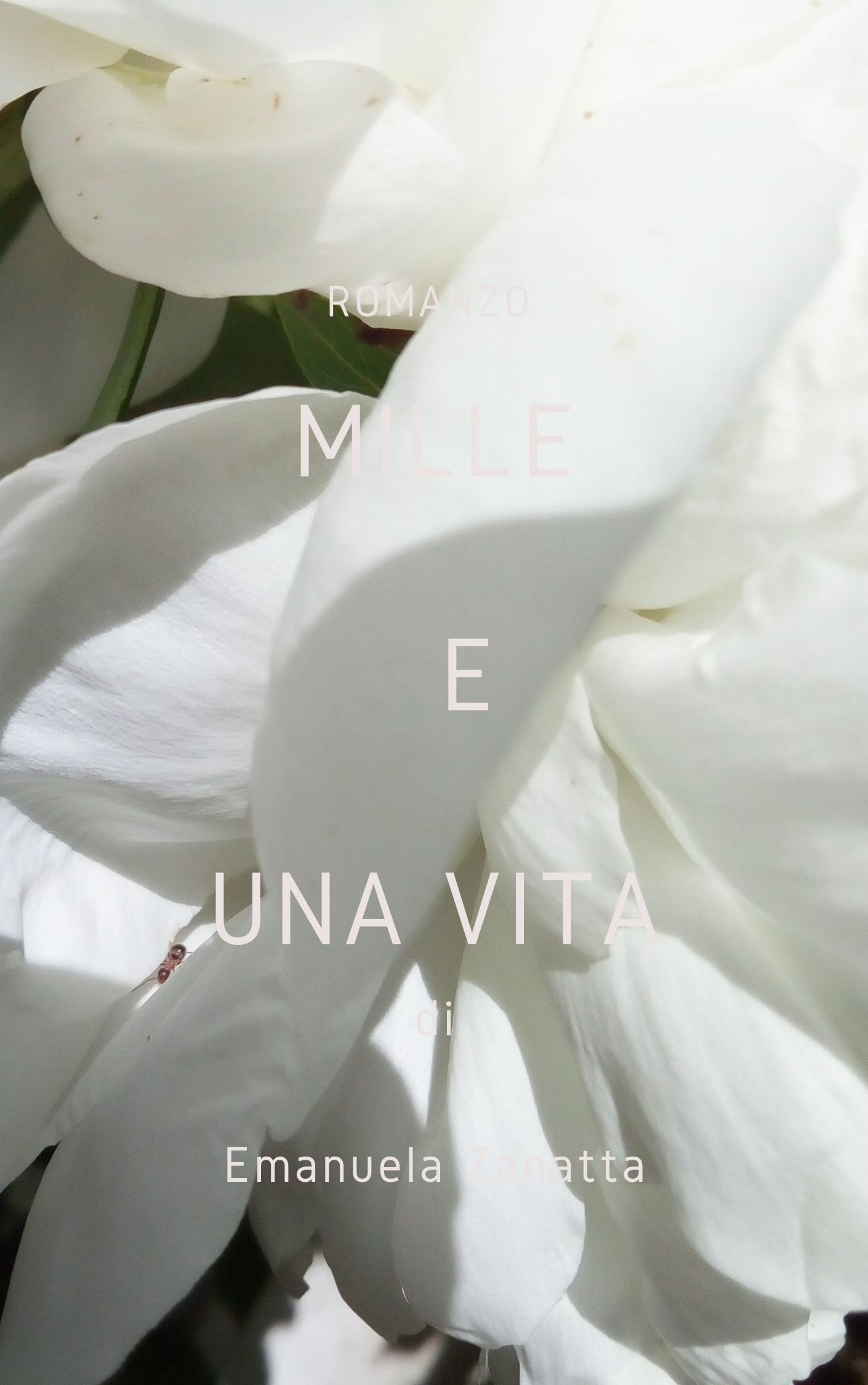 Primo romanzo