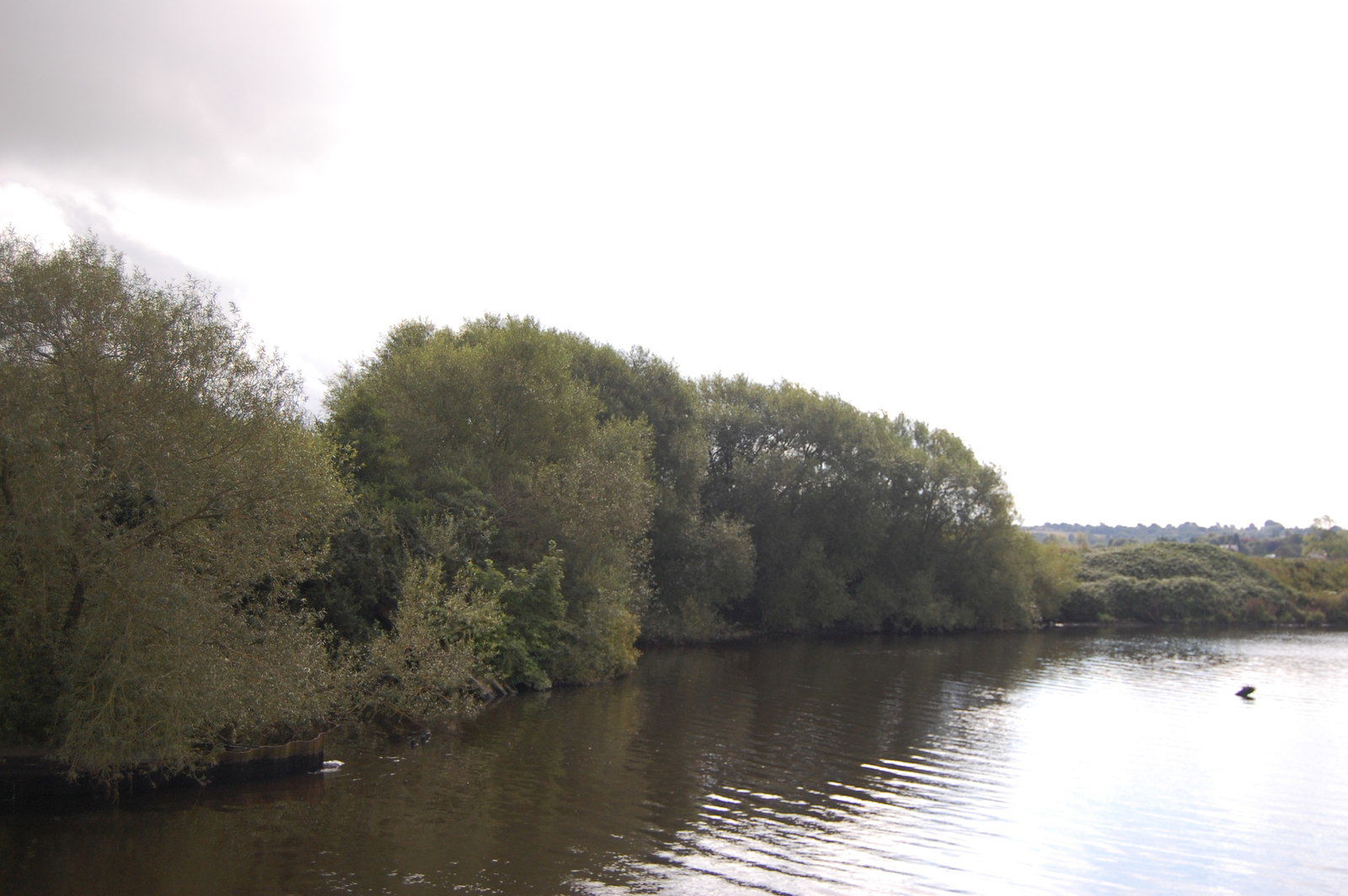 Manchester Ship Canal near Warburton