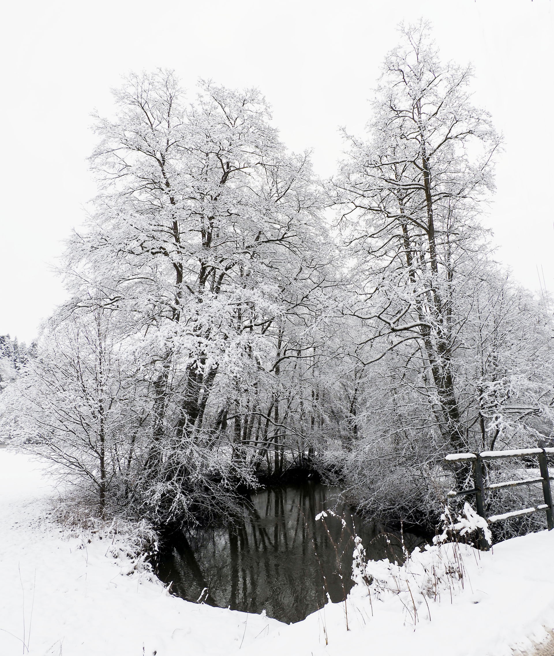 Lein (Zufluss des Kochers) im Winter, nahe Leinmühle