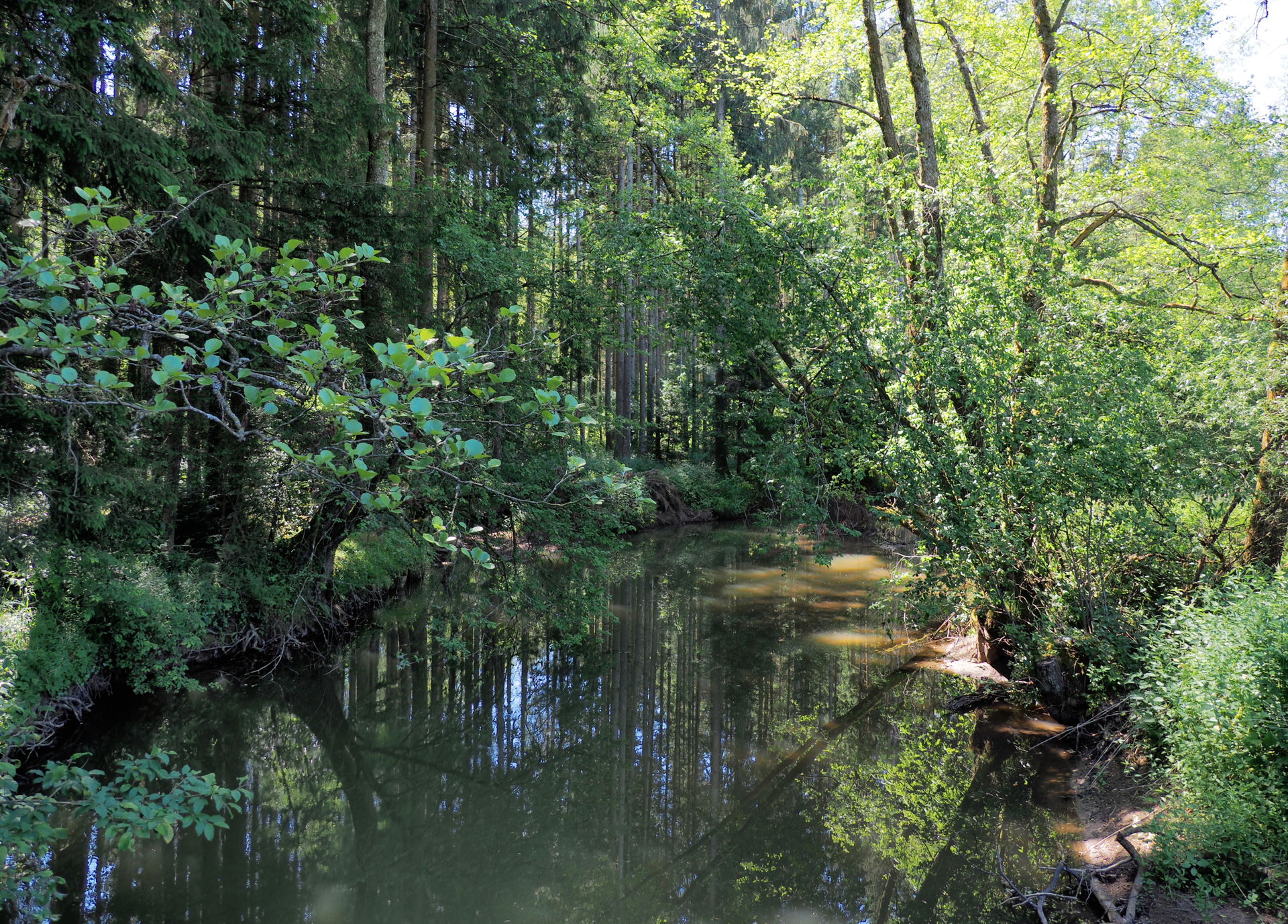 Lein river near Leinhaus, Ostalbkreis, Germany
View in northwes…