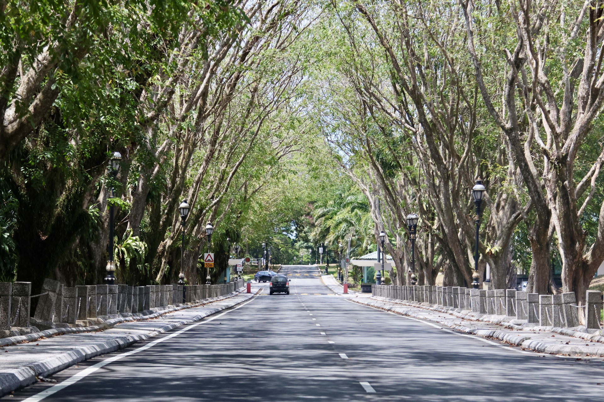 Jerudong tunnel of trees on 30 March 2024.