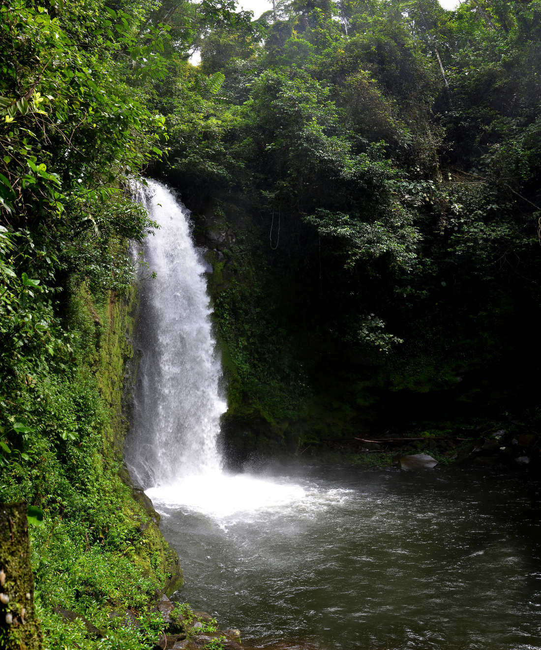 Siquirres waterfalls