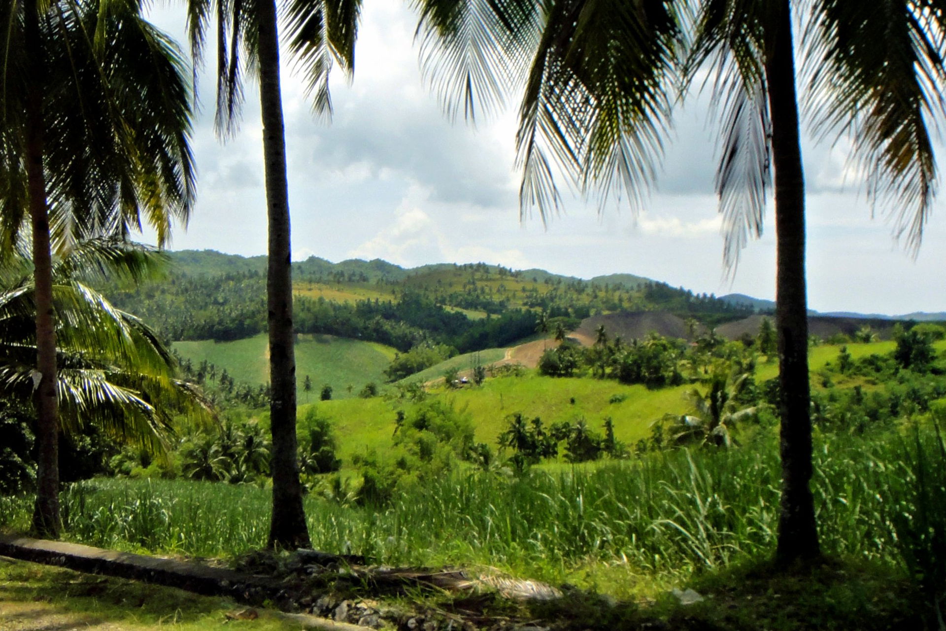 Tropical forest and farmland near Sogod, Central Cebu, Philippi…