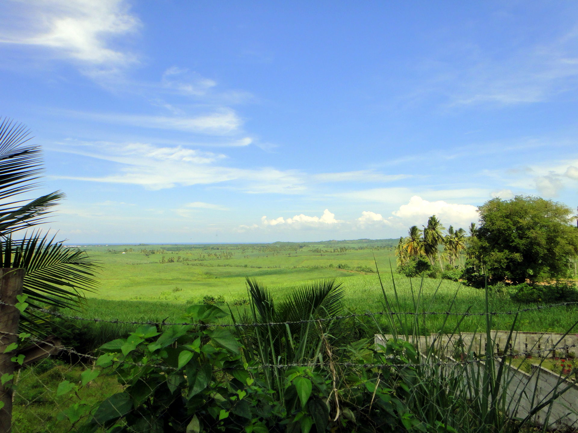 Tropical forest and farmland near Sogod, Central Cebu, Philippi…