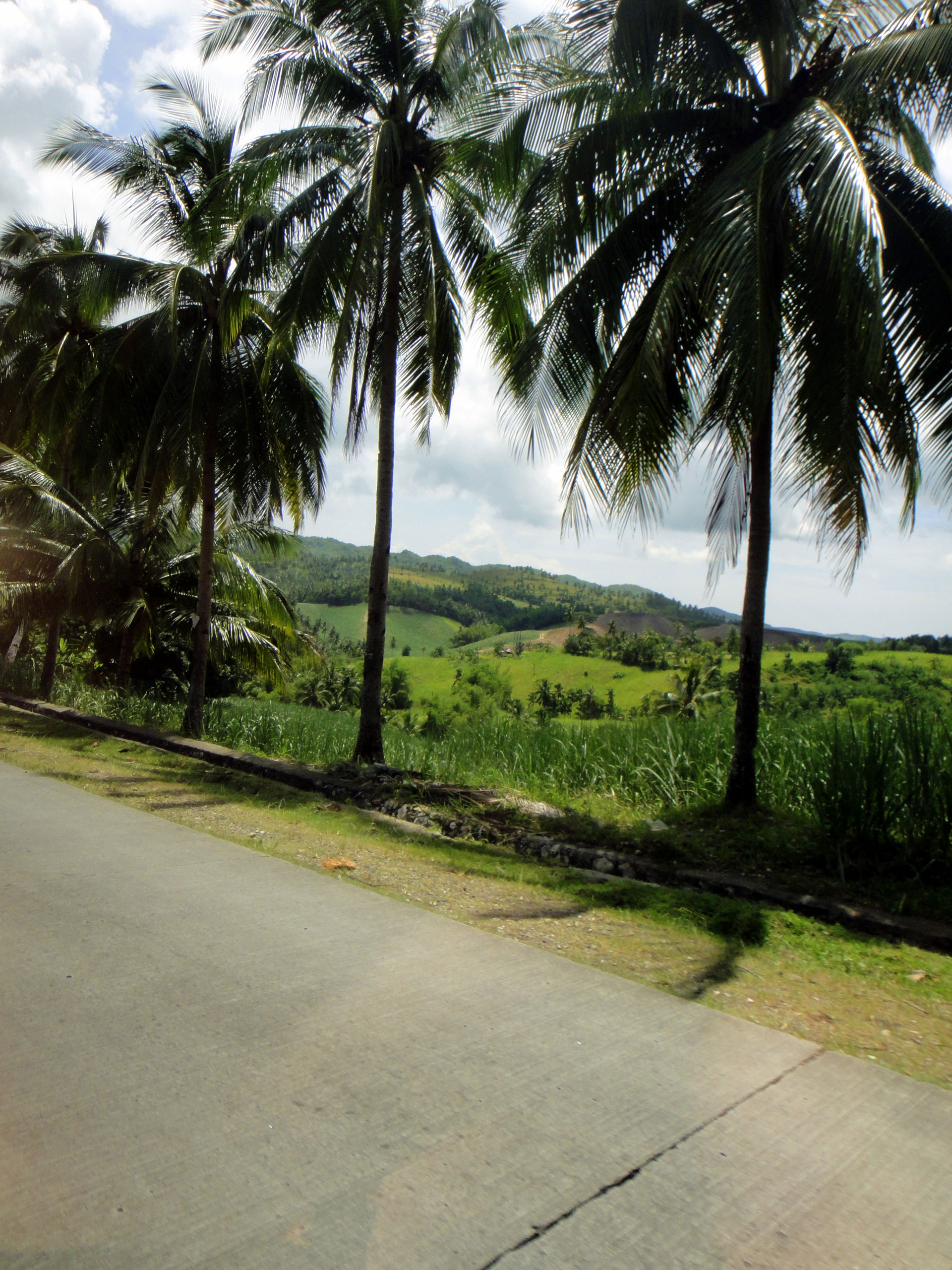 Tropical forest and farmland near Sogod, Central Cebu, Philippi…