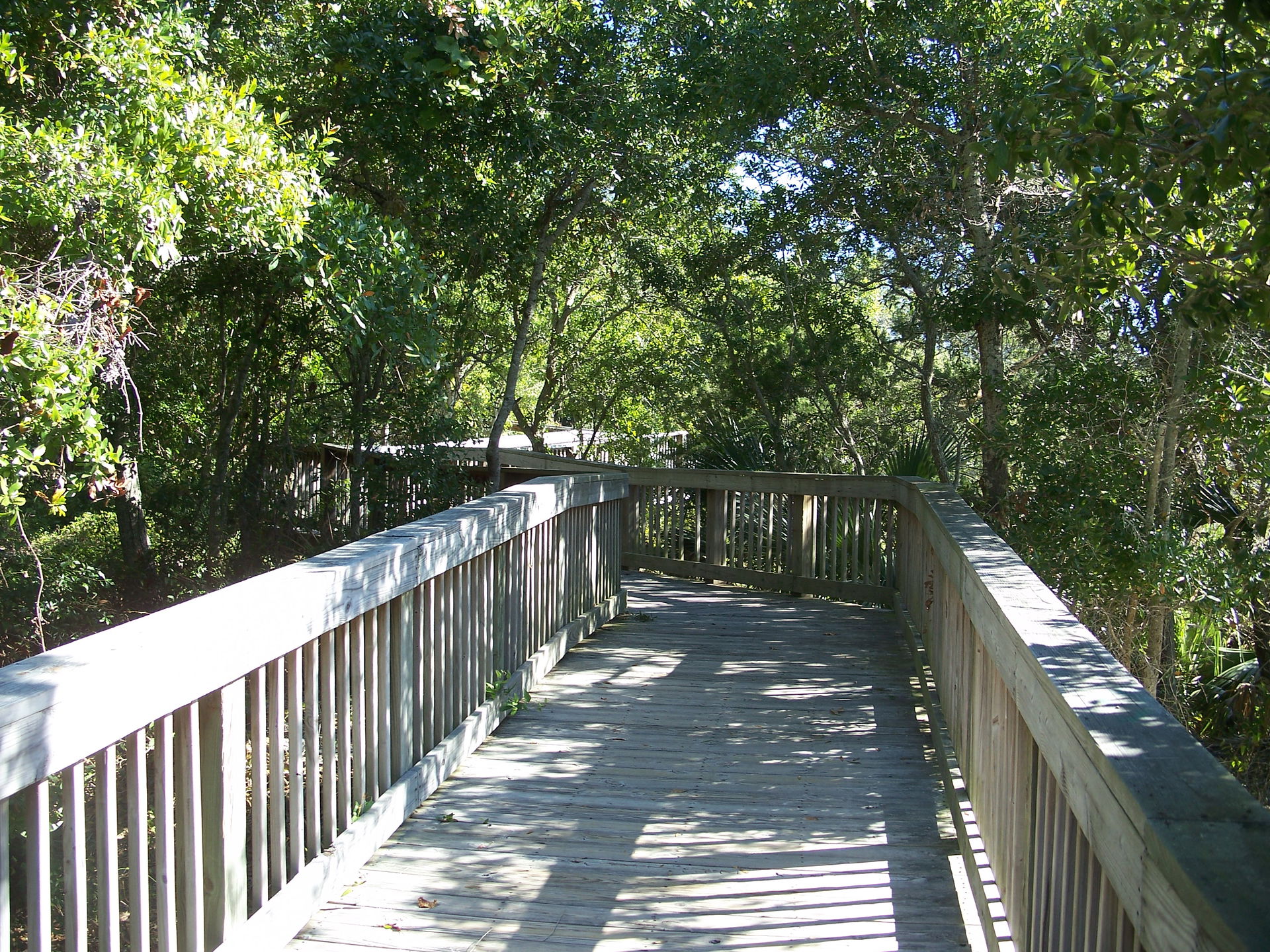 Panama City, Florida: Dune walkover