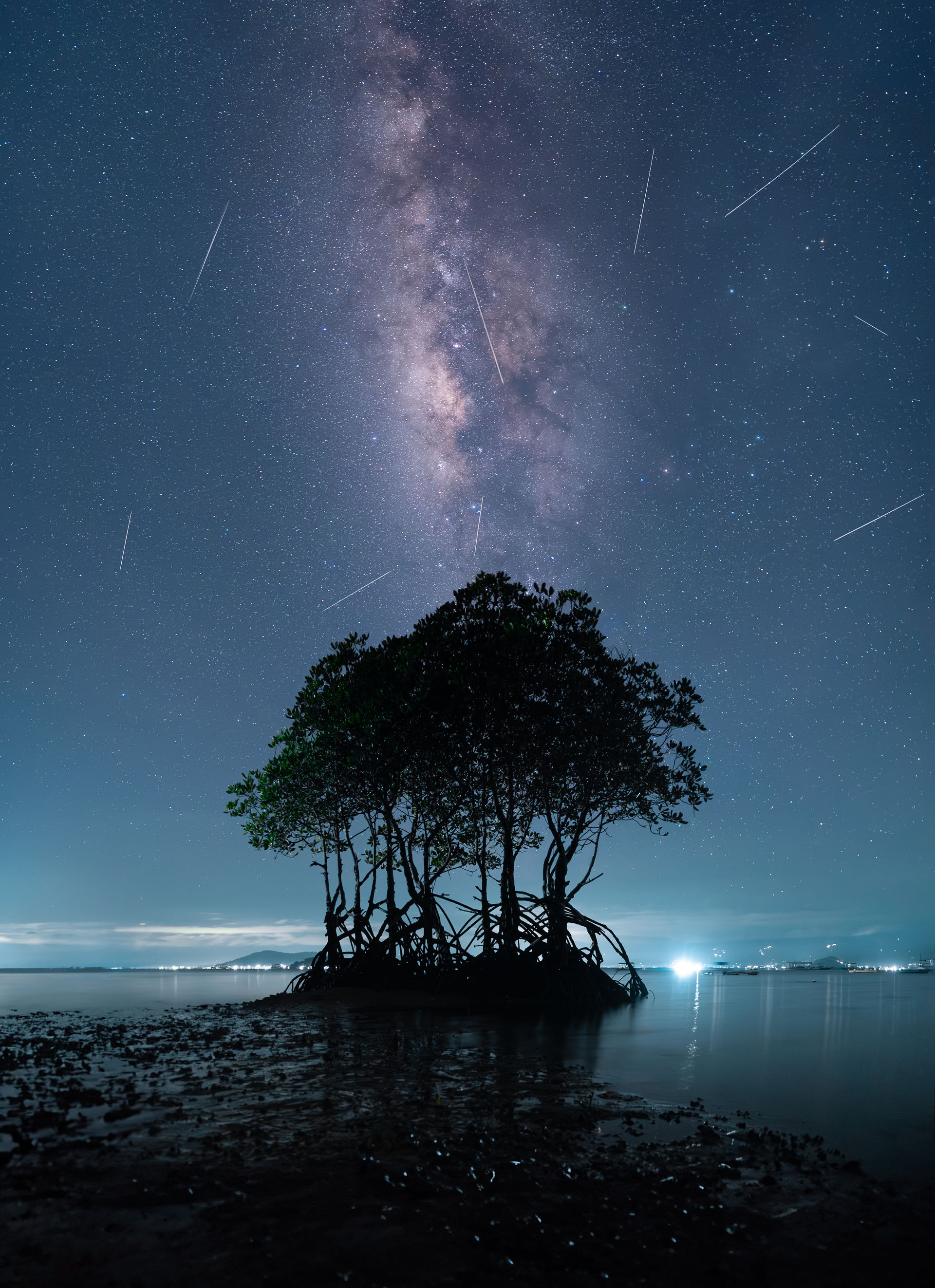 Fortunately, I was able to capture several meteors around the g…