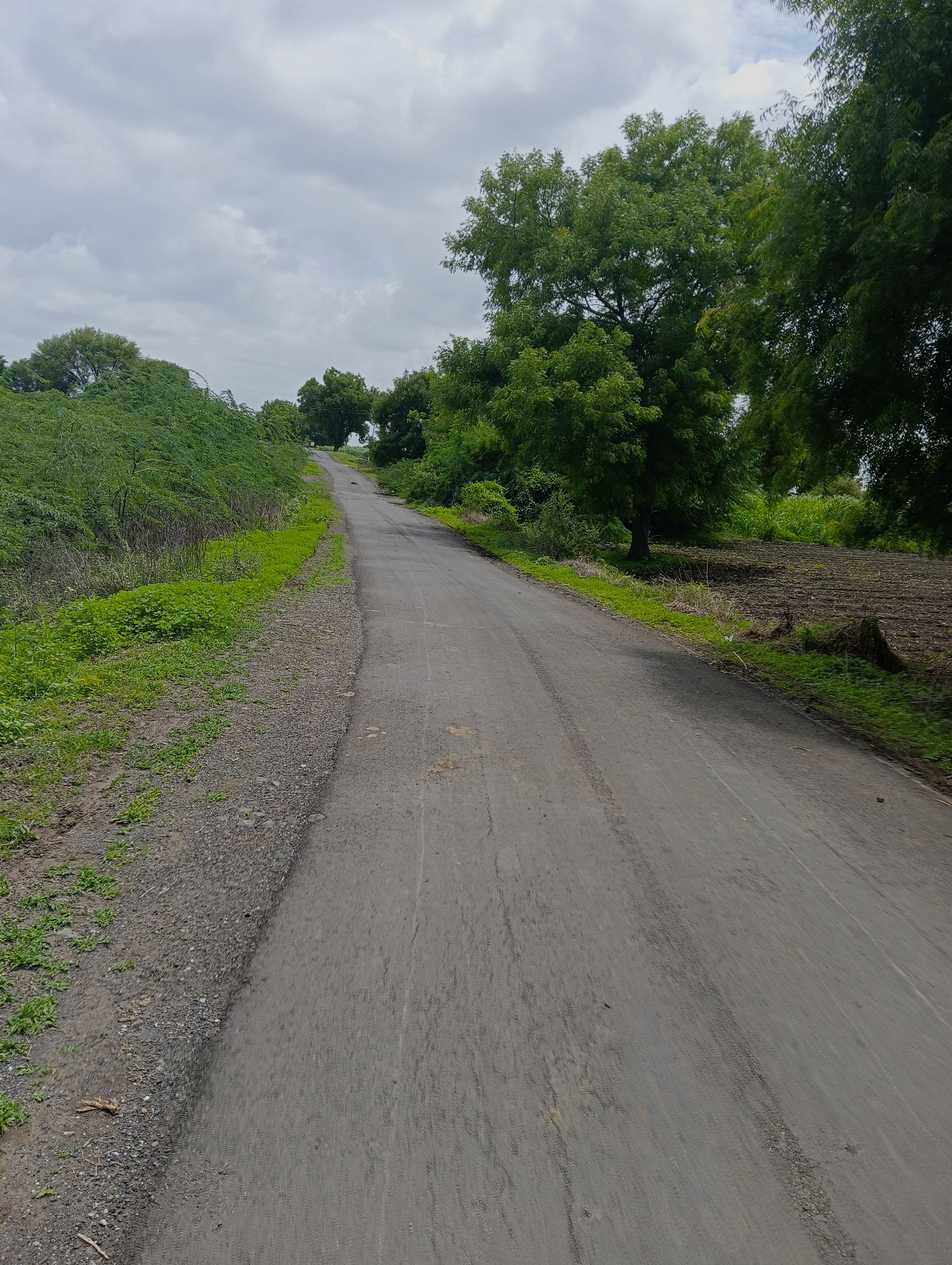 Digras road