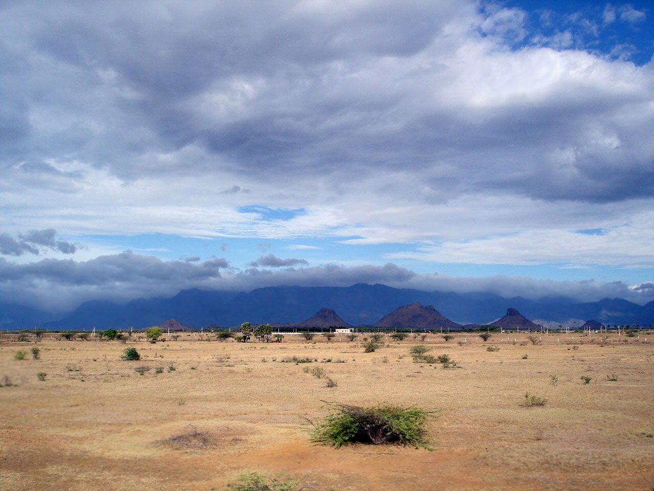 The Agasthiyamalai range of the western ghats as seen from the …